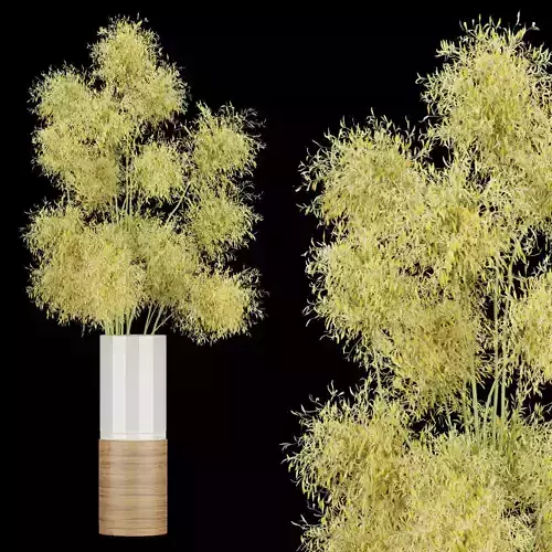 Collection plant vol 187 3D model