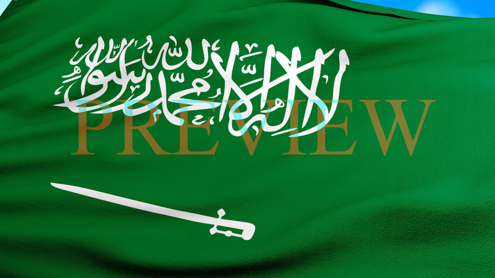 Animated Flag- Transitional Flag  3D model_3