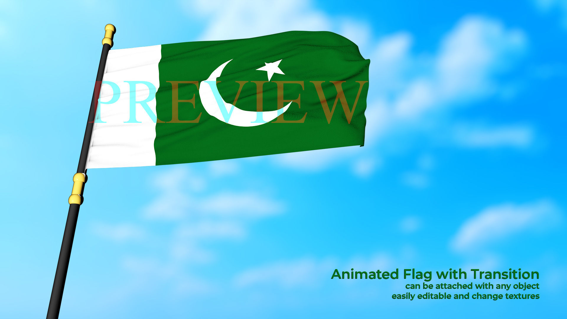Animated Flag- Transitional Flag  3D model_9