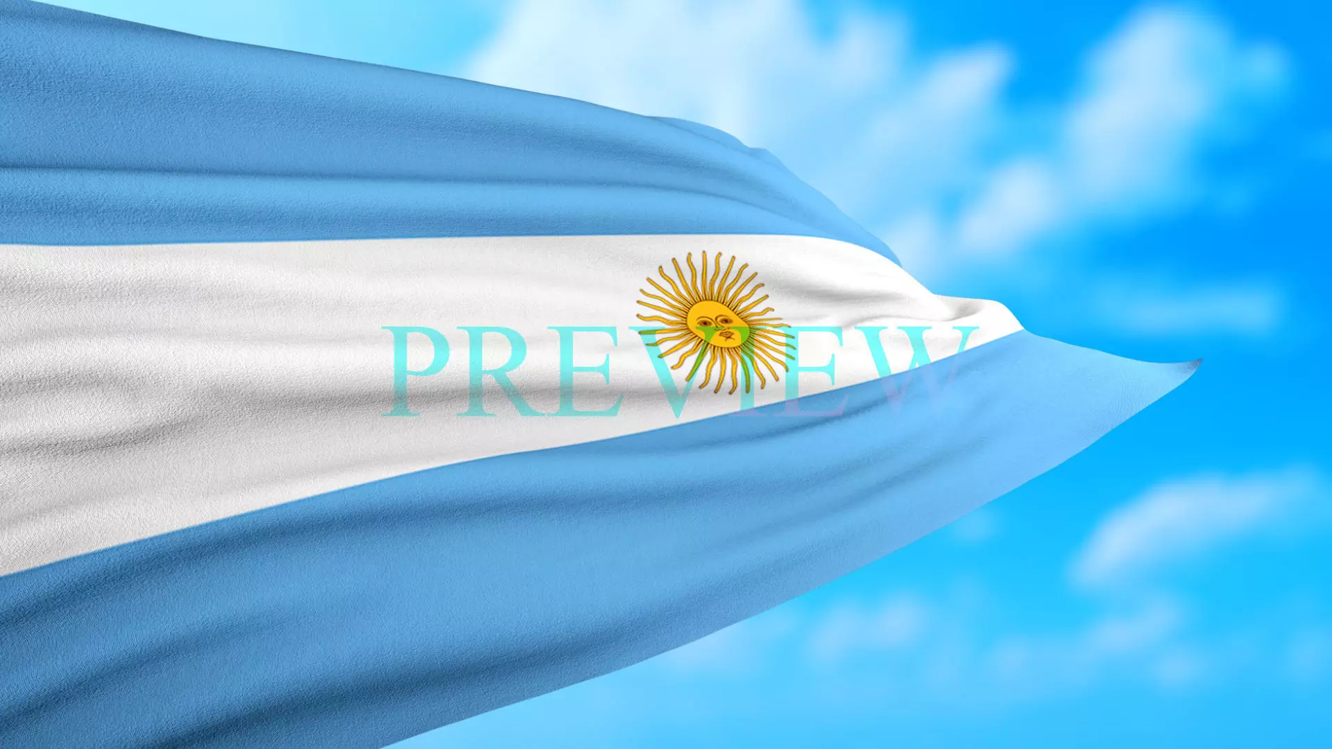 Animated Flag- Transitional Flag  3D model_0