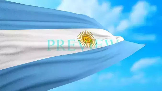 Animated Flag- Transitional Flag  3D model