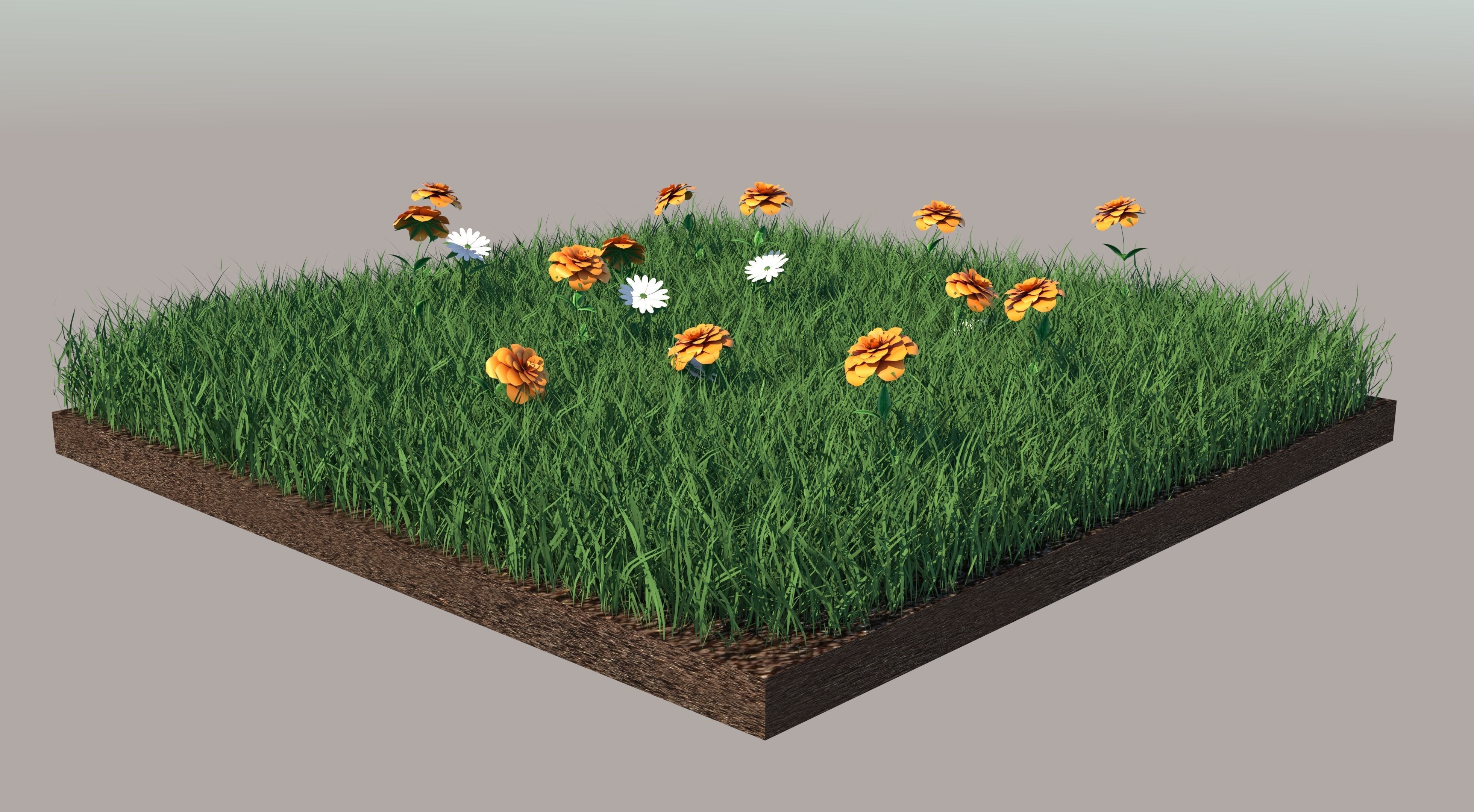 Grass field with flowers 3D model_3