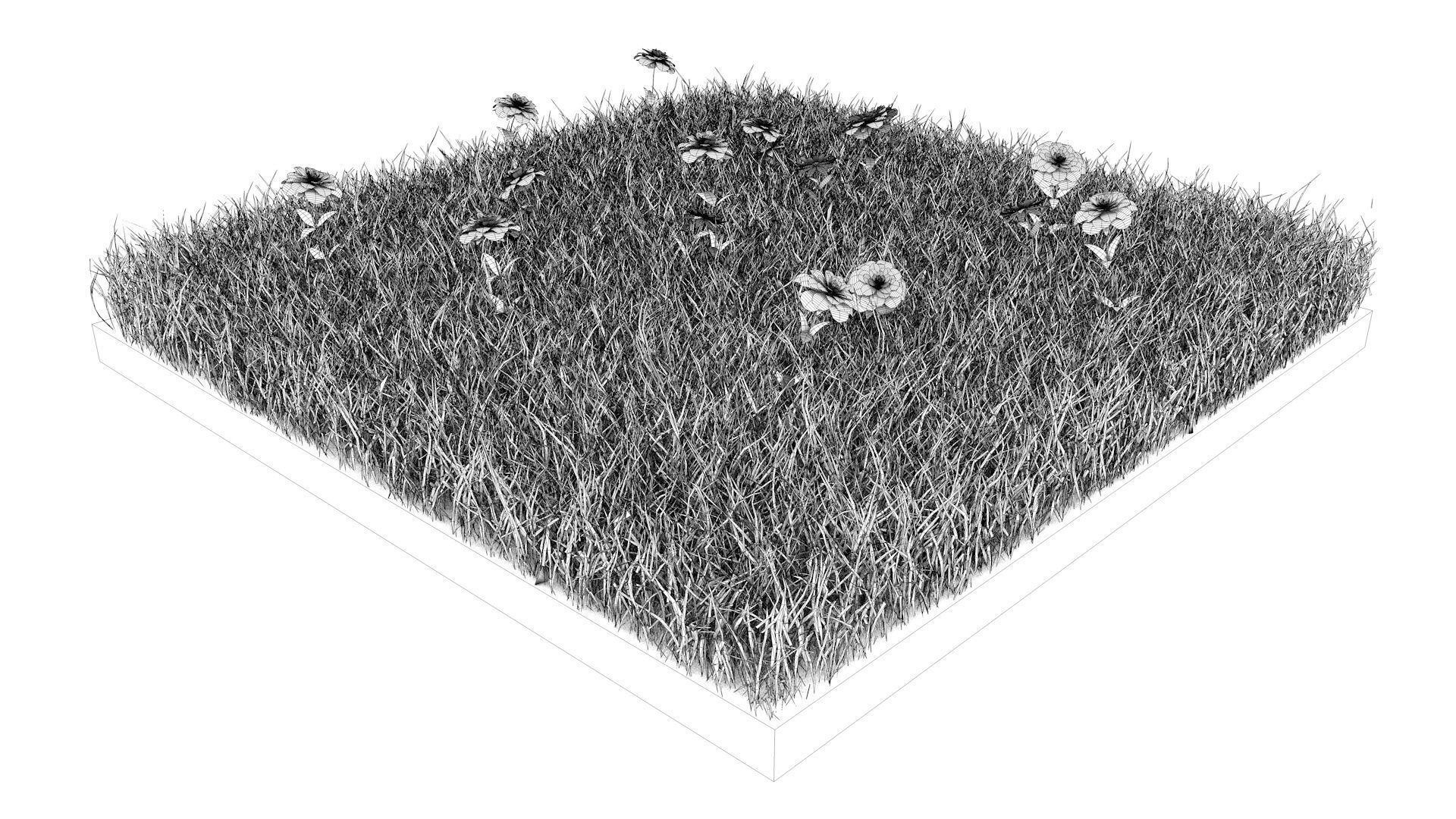 Grass field with flowers 3D model_12