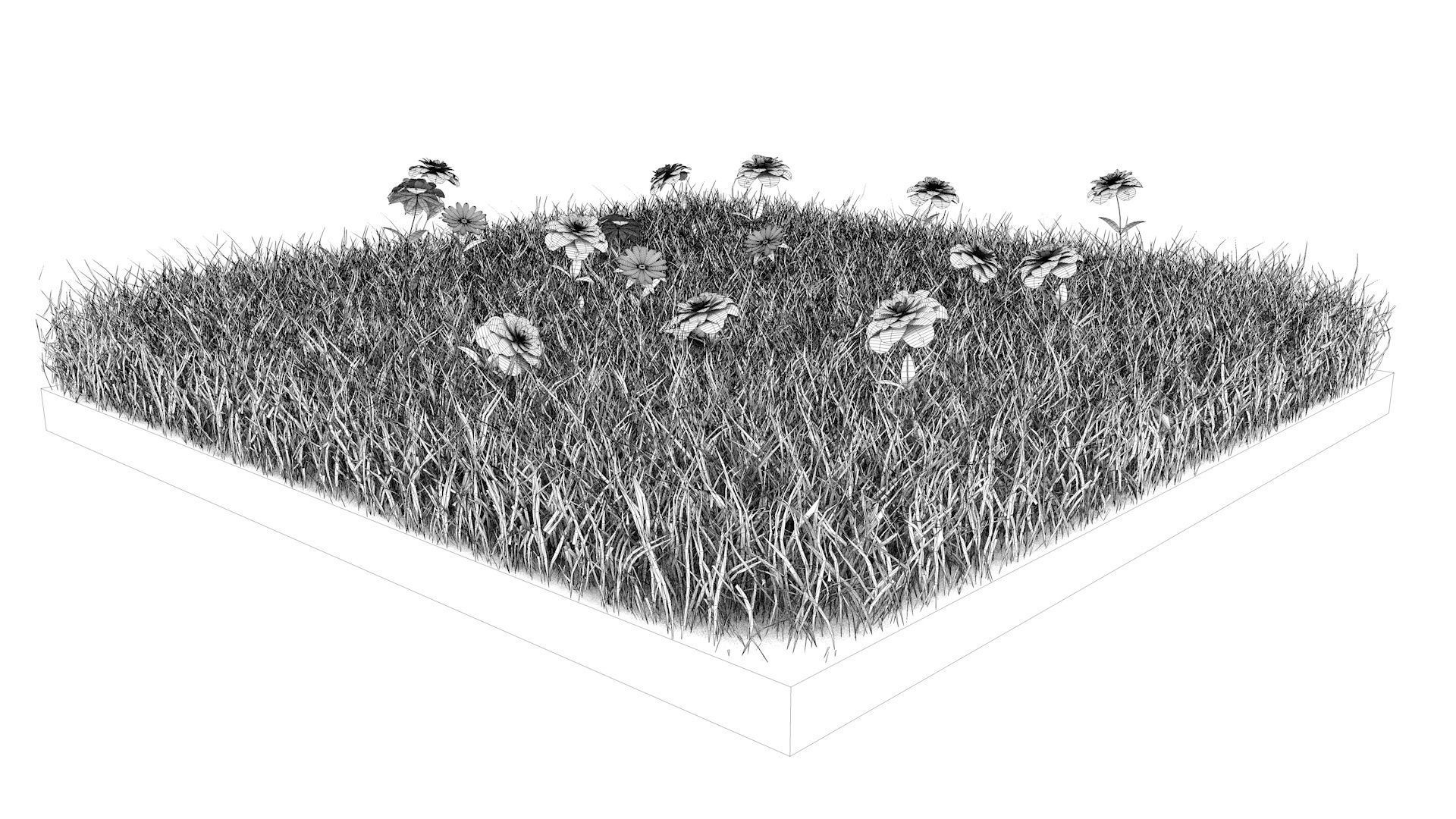 Grass field with flowers 3D model_11