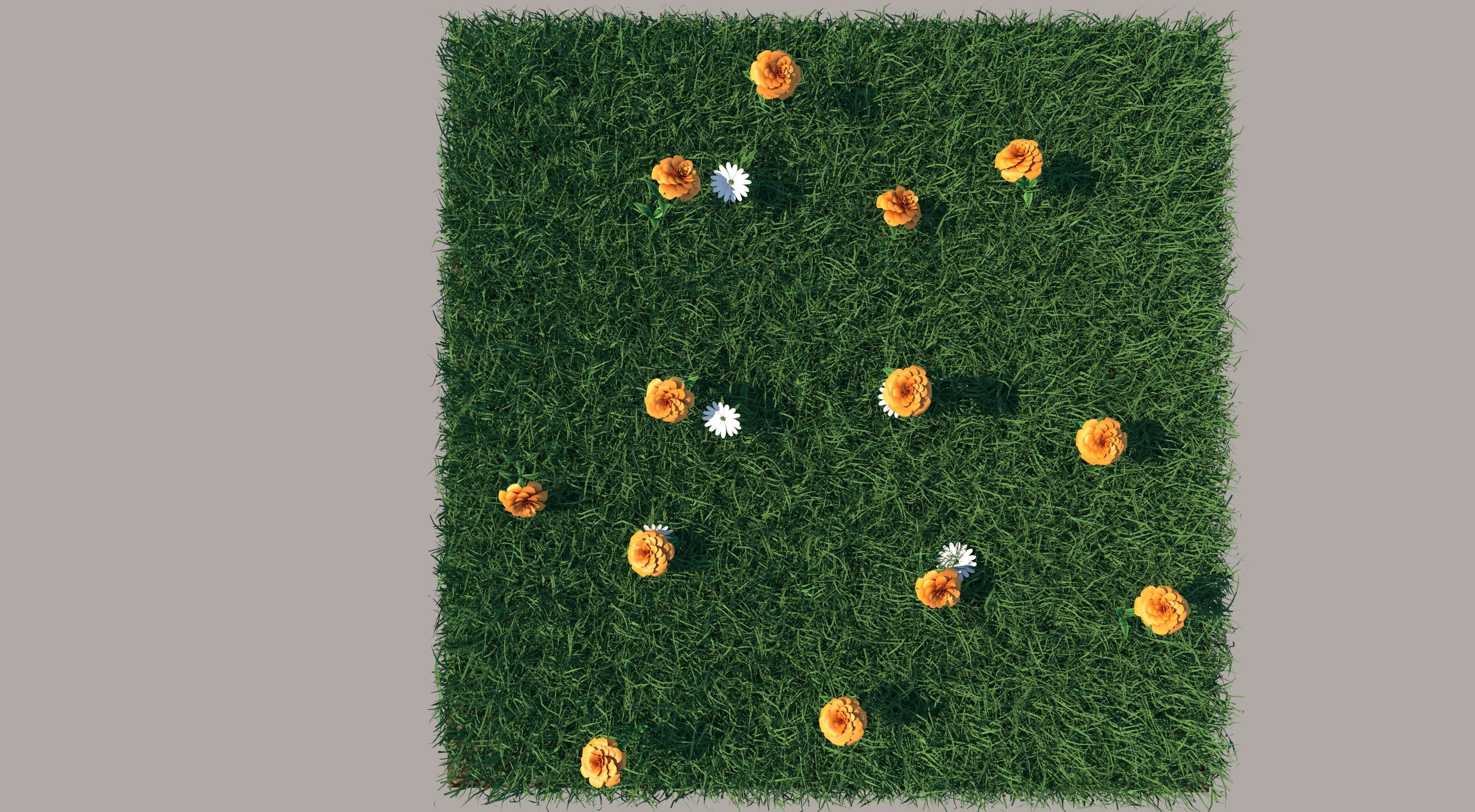Grass field with flowers 3D model_4