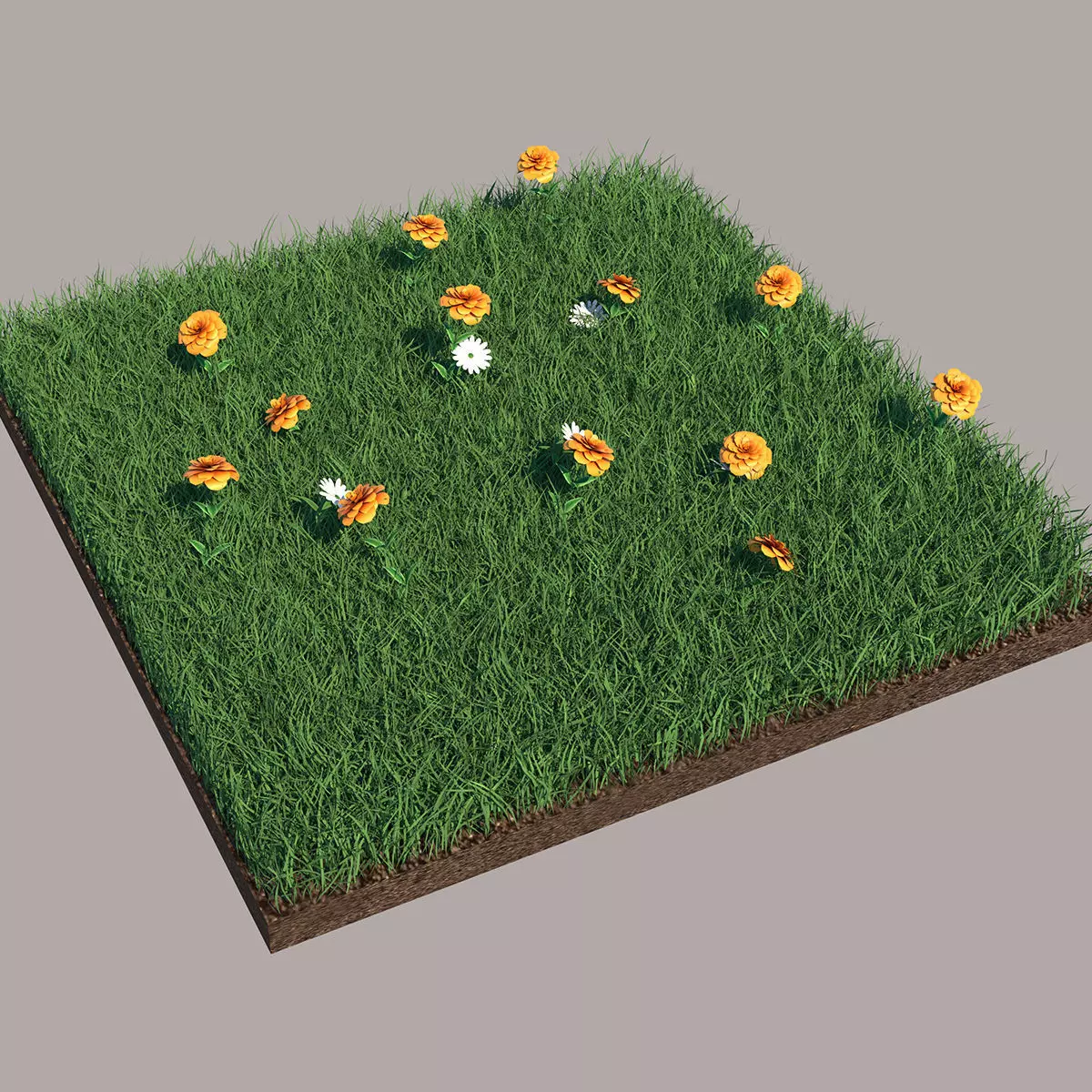 Grass field with flowers 3D model_0