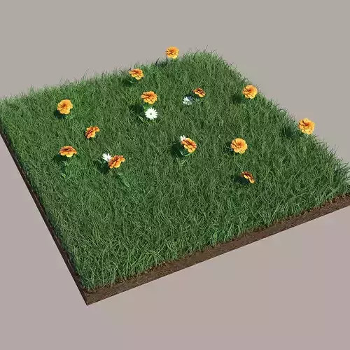 Grass field with flowers 3D model