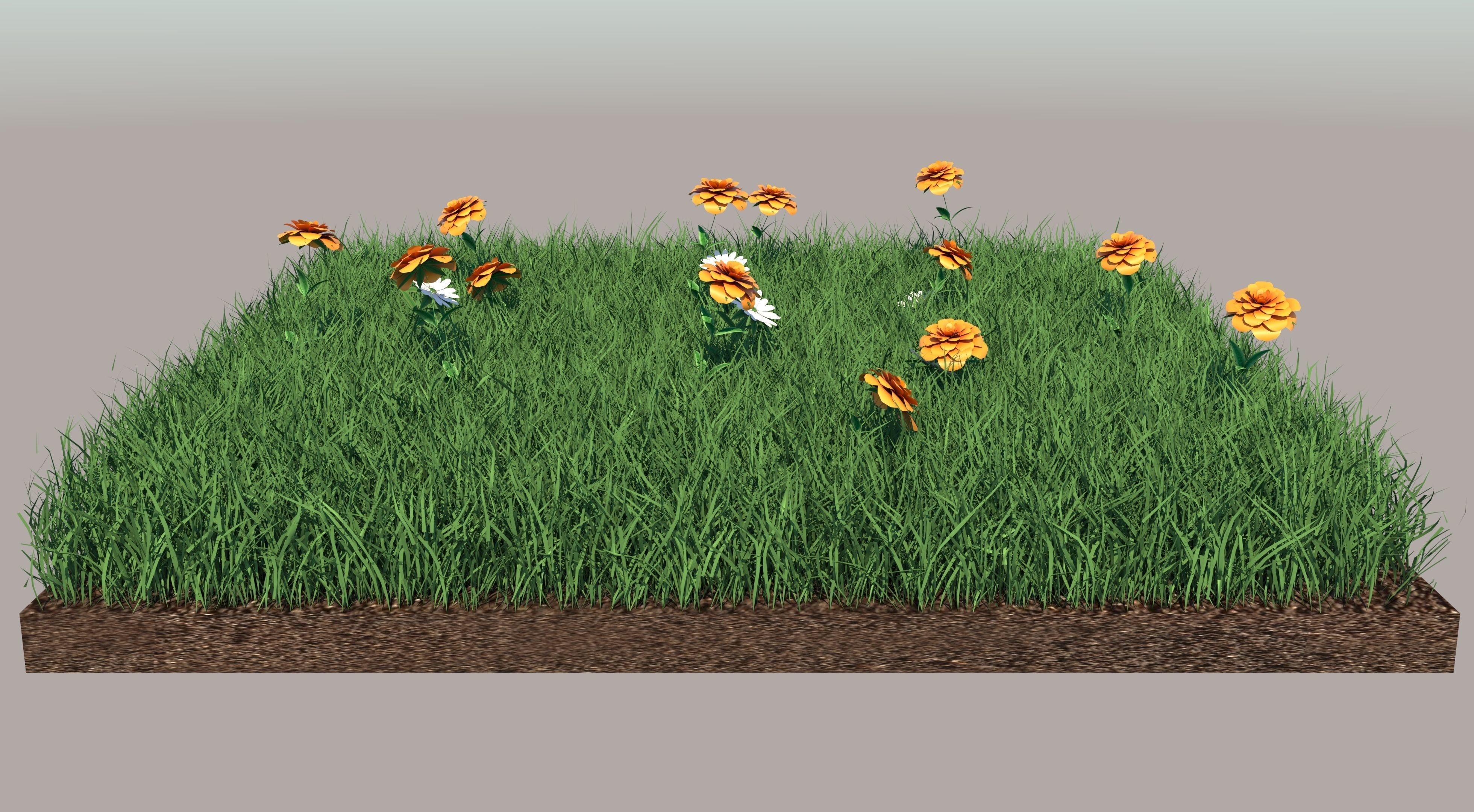 Grass field with flowers 3D model_2