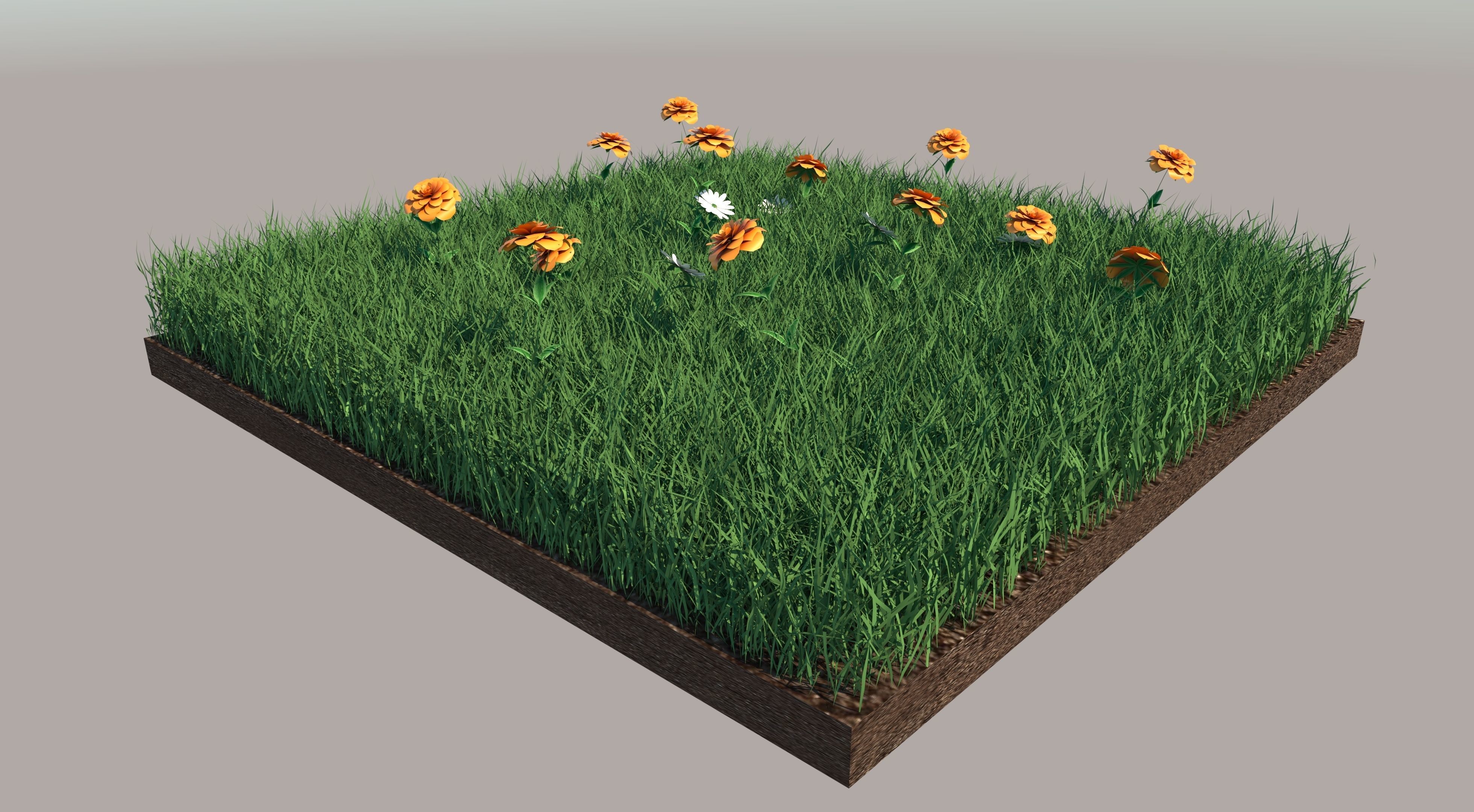 Grass field with flowers 3D model_5