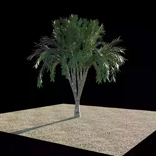 Tree 2 palm - palm Low-poly 3D model