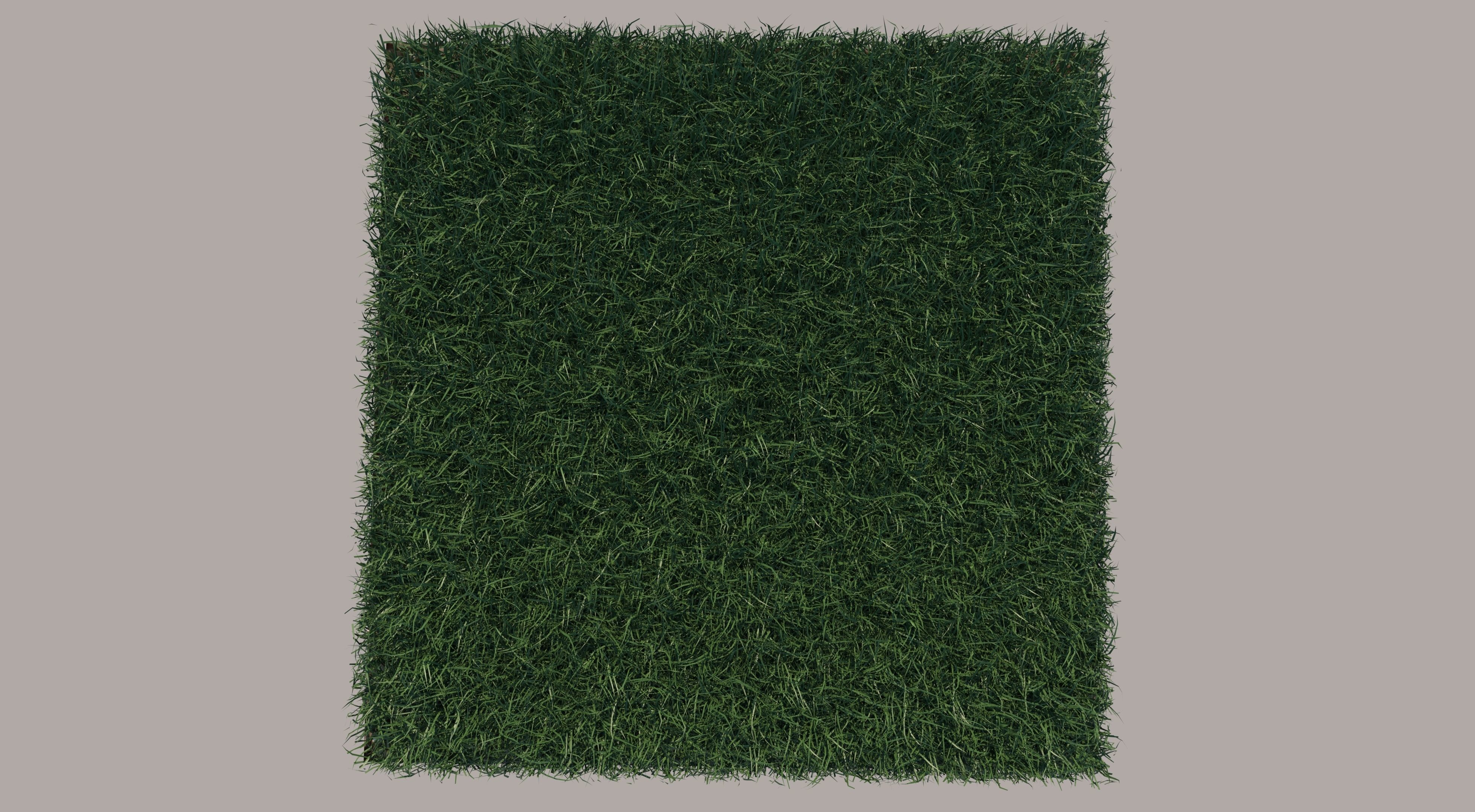 Grass and gravel 3D model_5