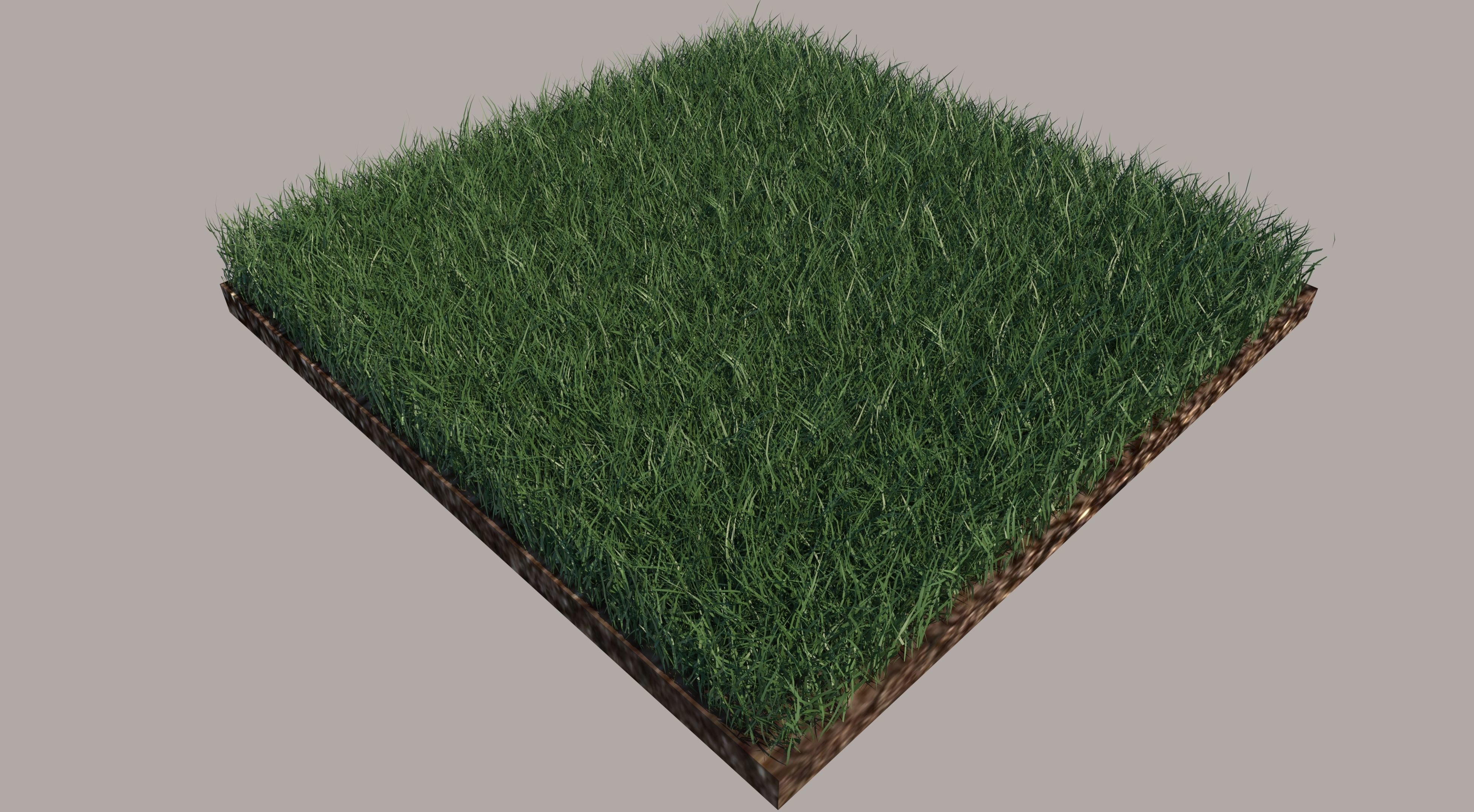 Grass and gravel 3D model_3