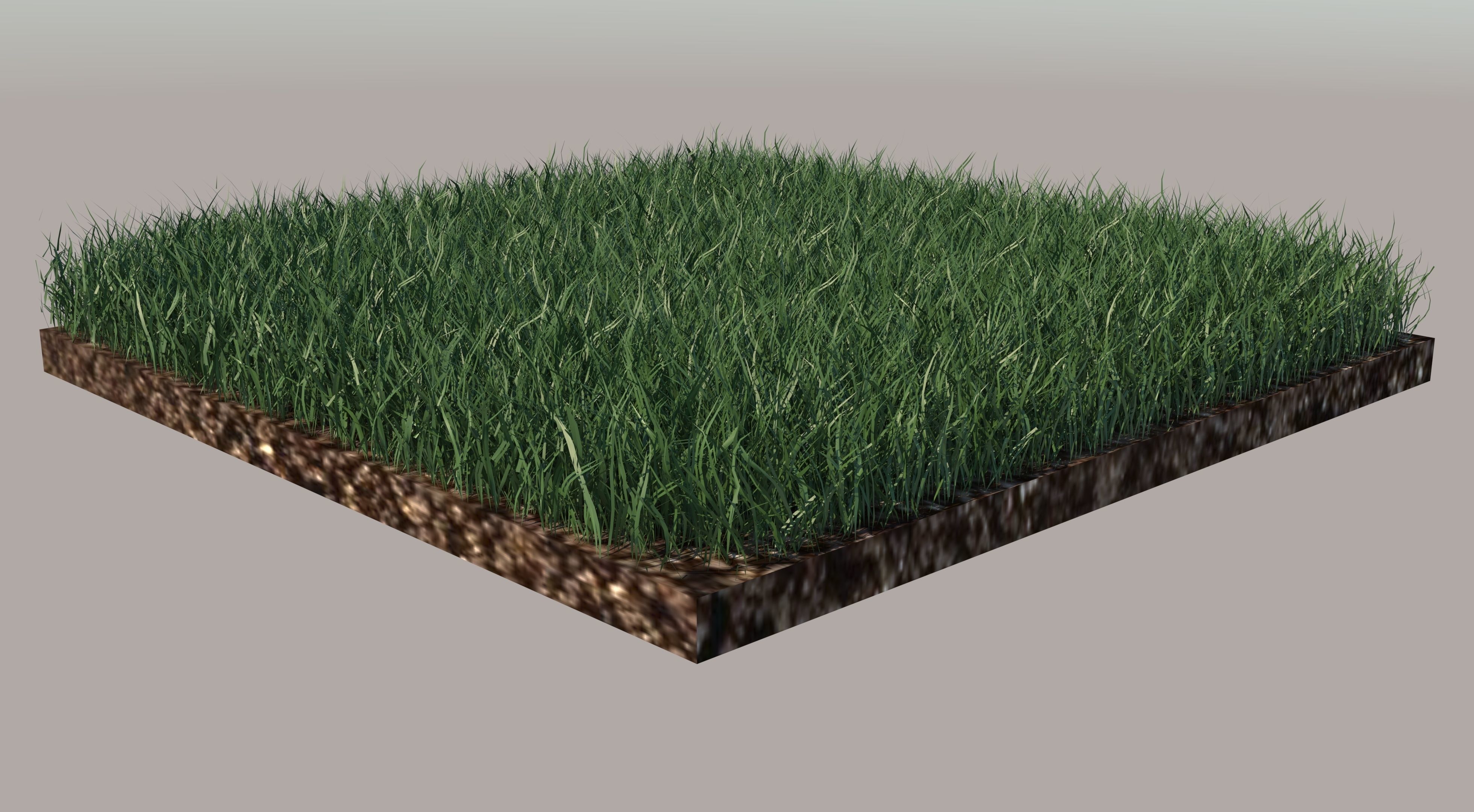 Grass and gravel 3D model_2