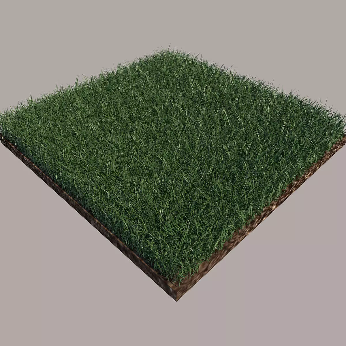 Grass and gravel 3D model_0