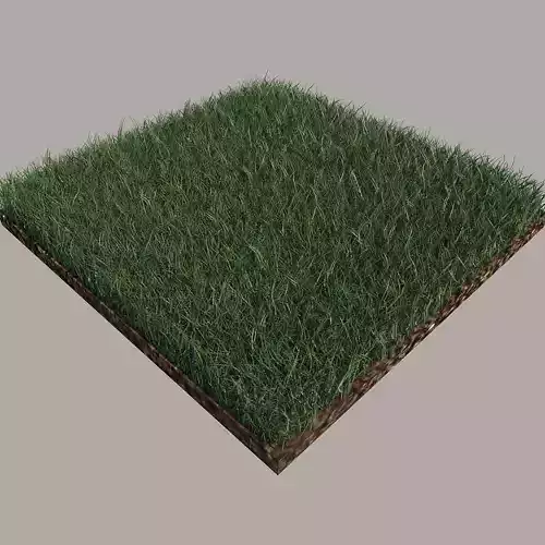 Grass and gravel