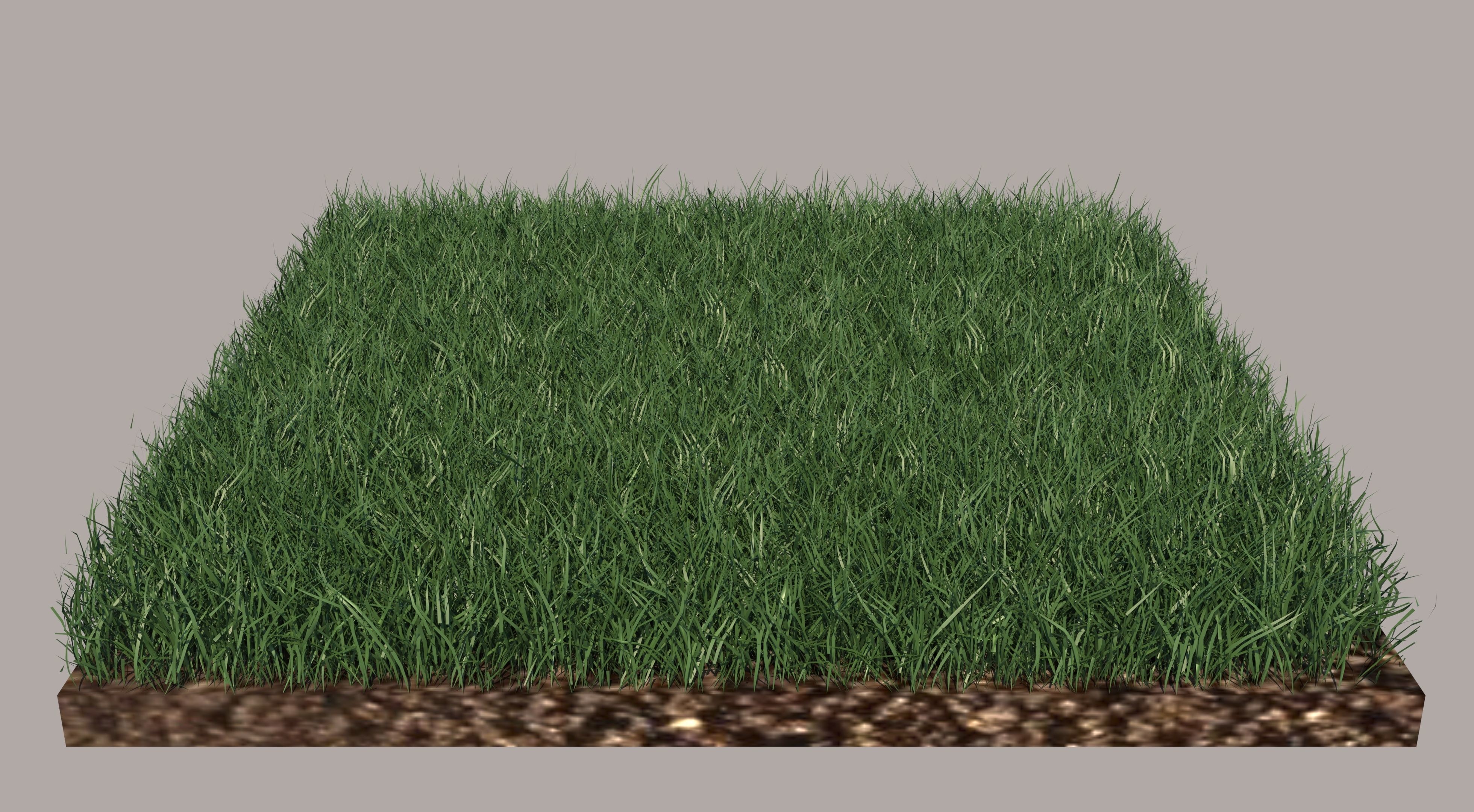 Grass and gravel 3D model_1