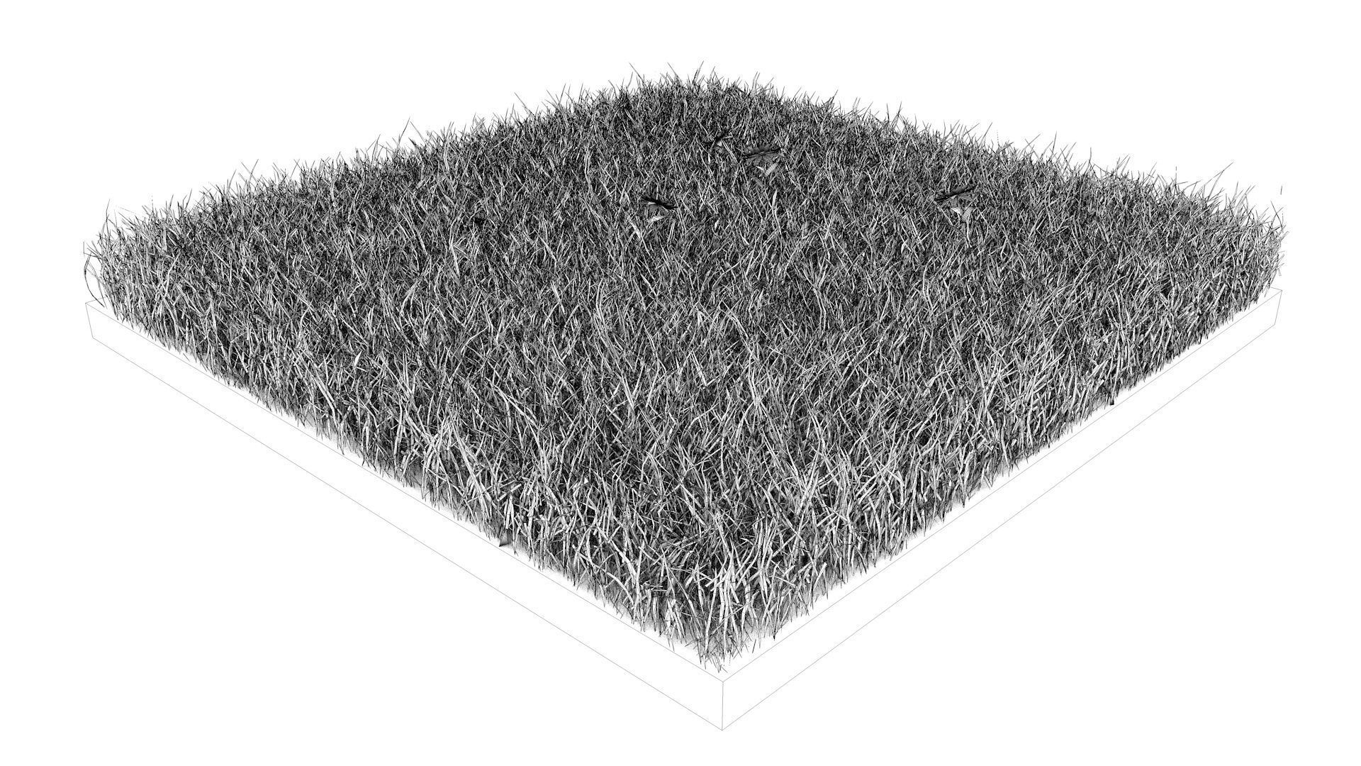 Grass field with golf balls 3D model_10