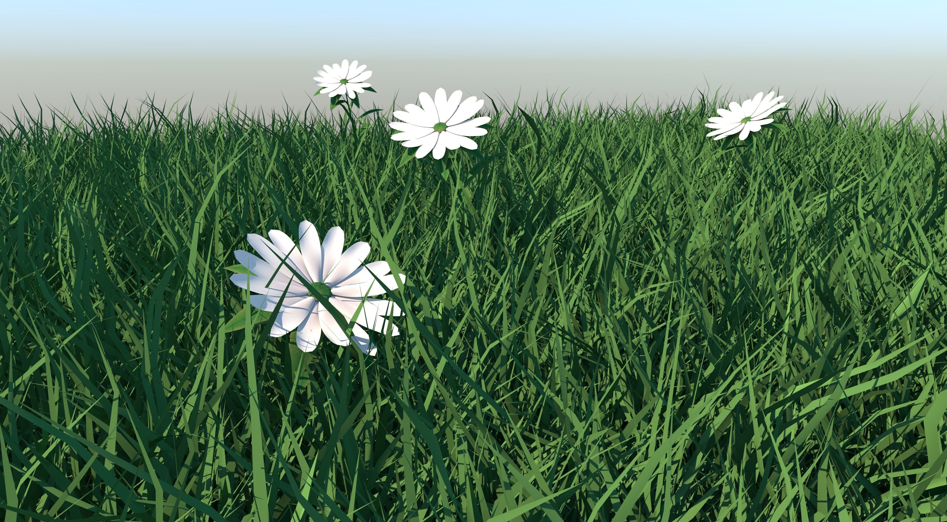 Grass field with golf balls 3D model_5