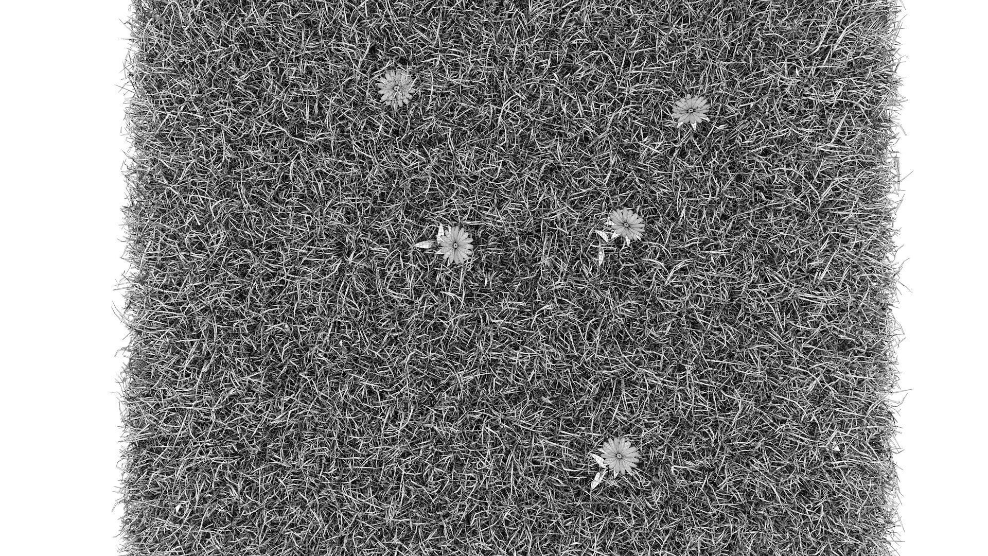 Grass field with golf balls 3D model_13