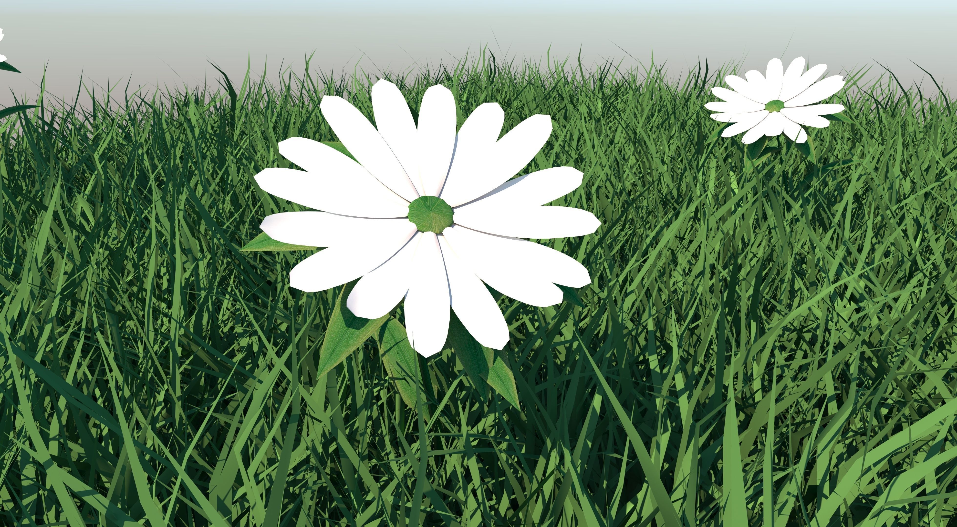 Grass field with golf balls 3D model_7