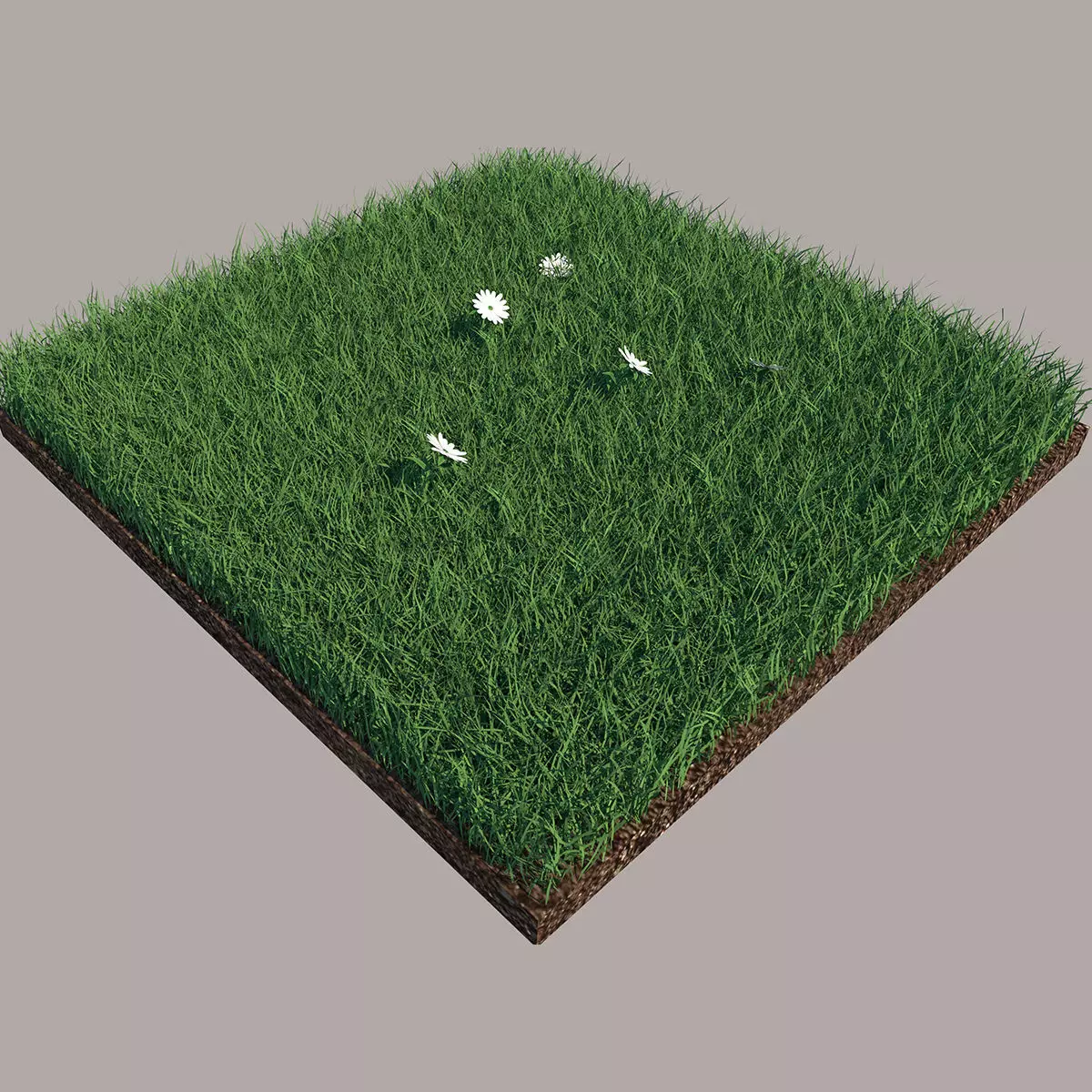 Grass field with golf balls 3D model_0
