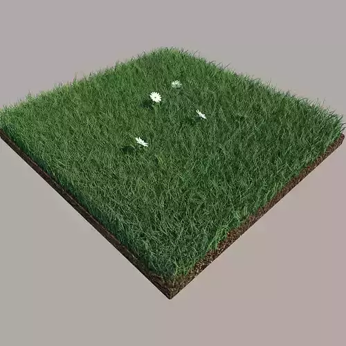 Grass field with golf balls