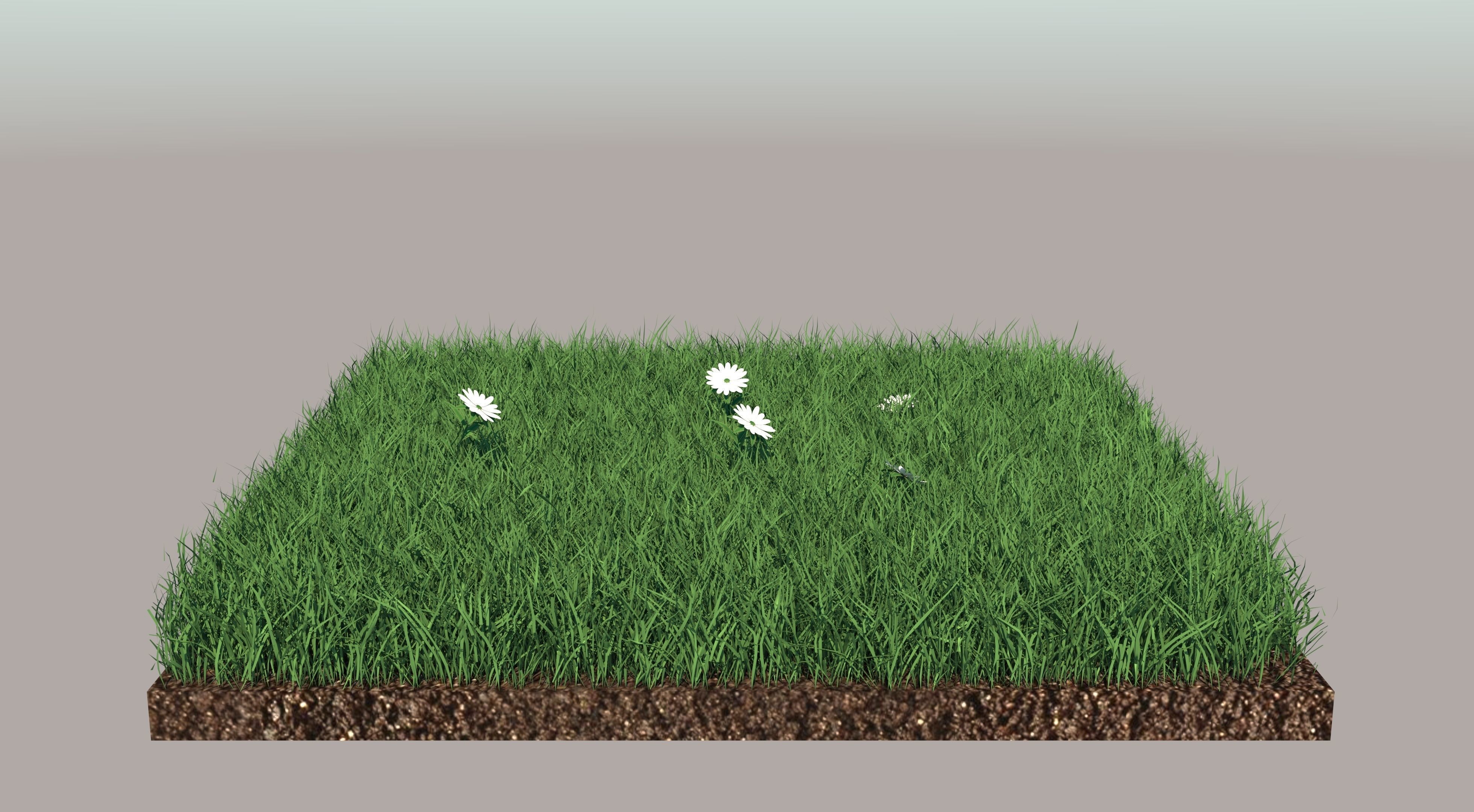 Grass field with golf balls 3D model_1