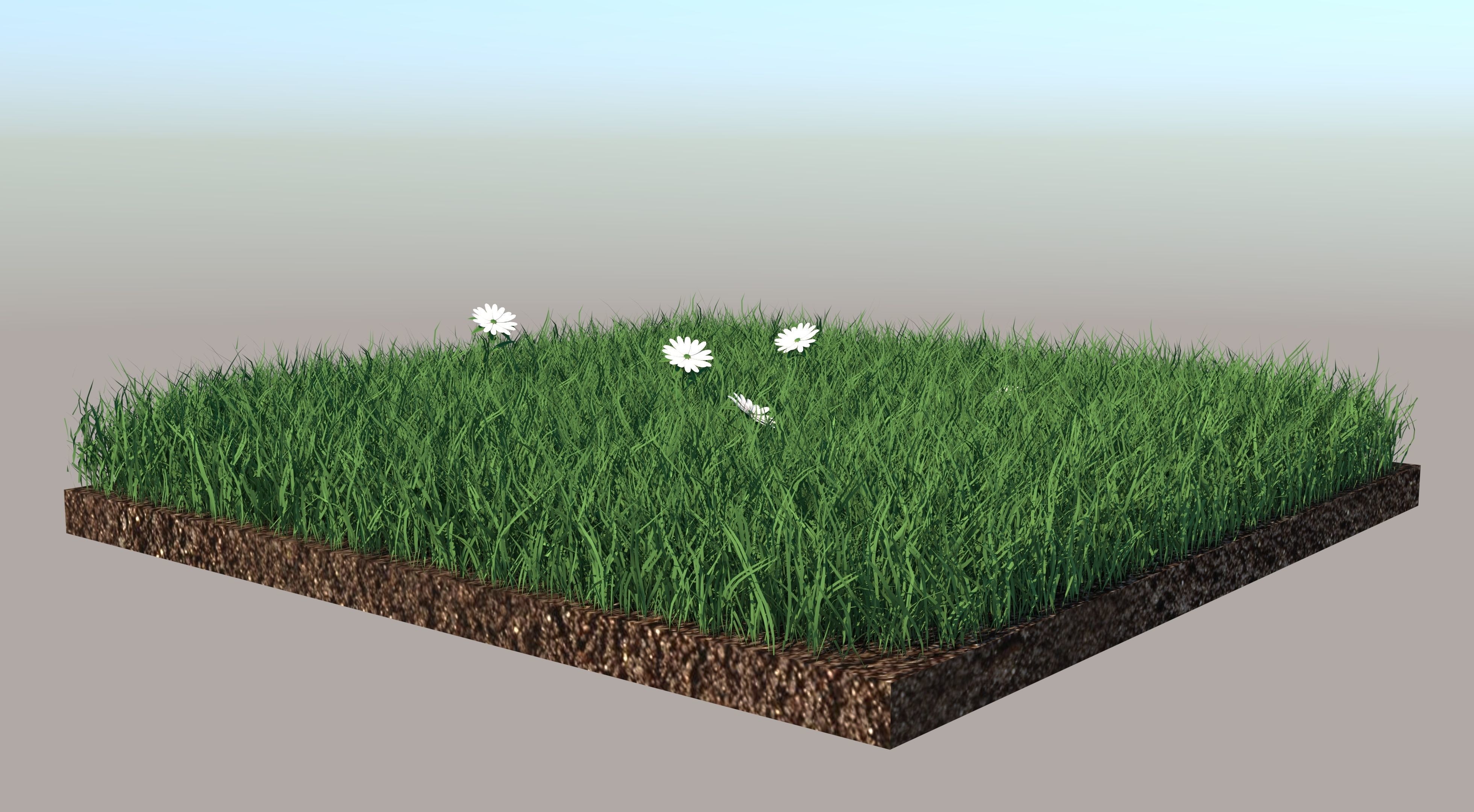 Grass field with golf balls 3D model_2
