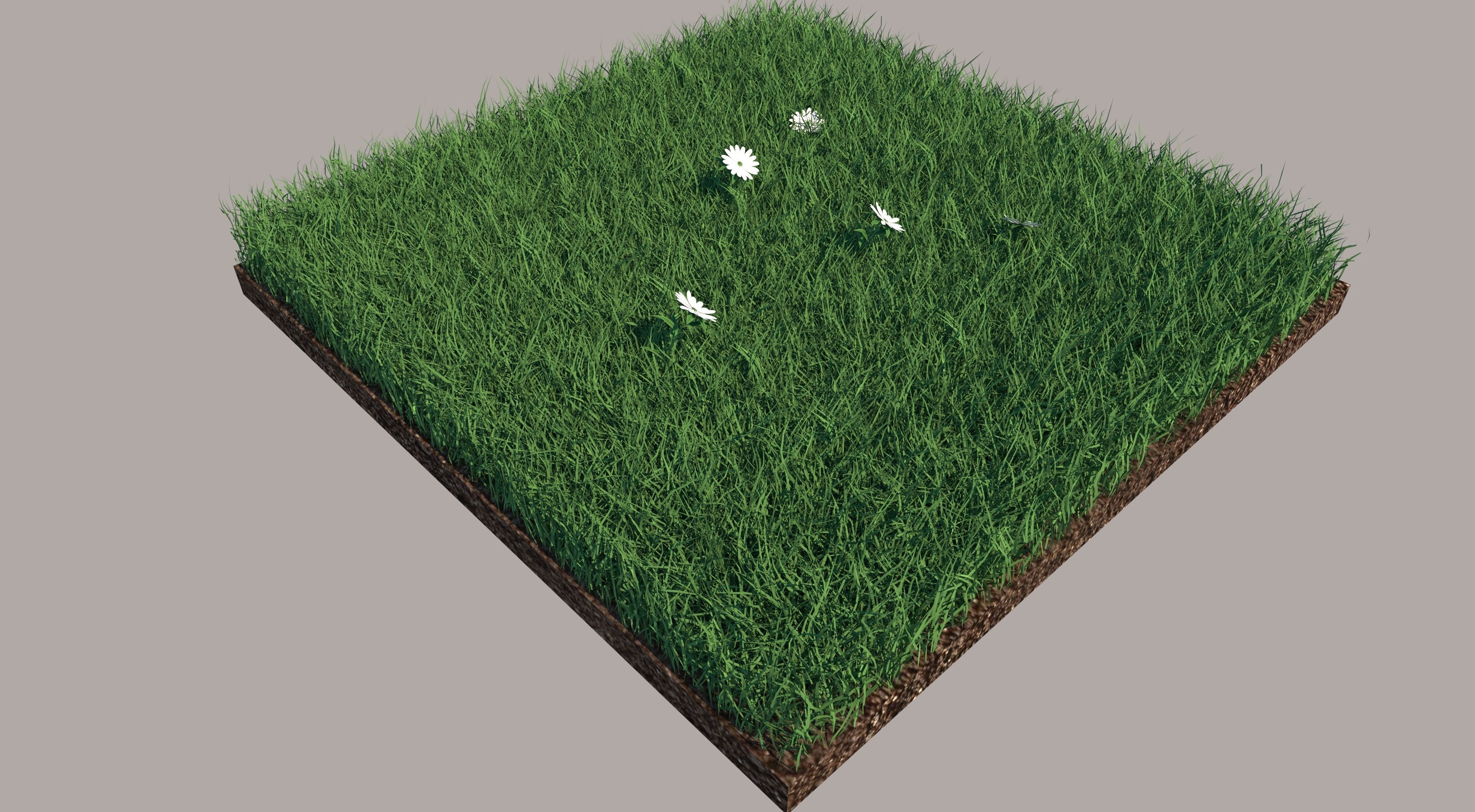Grass field with golf balls 3D model_3