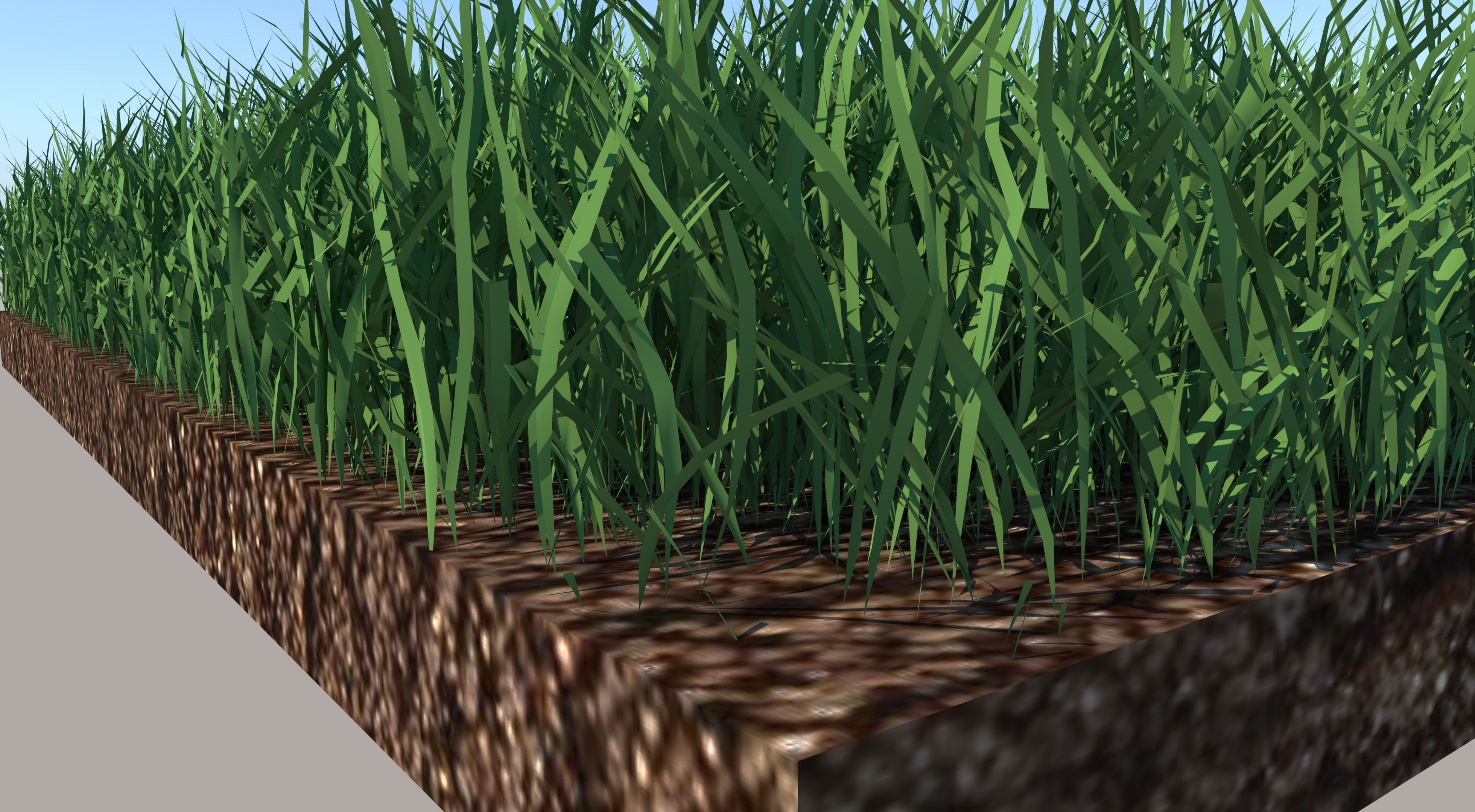 Grass field with golf balls 3D model_4
