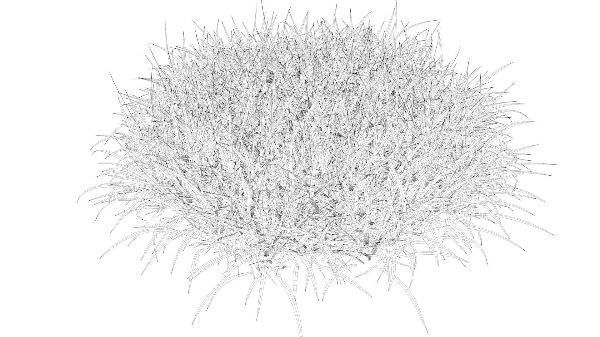 Bundle Grass Low-poly 3D model_8