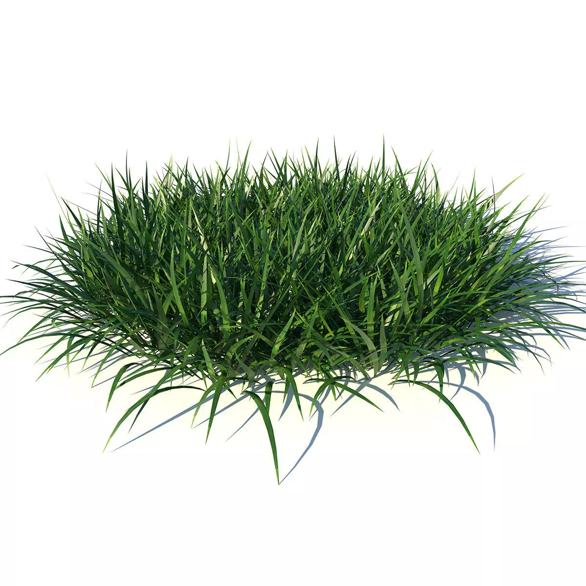 Bundle Grass Low-poly 3D model_0