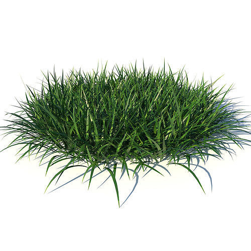 Bundle Grass Low-poly 3D model