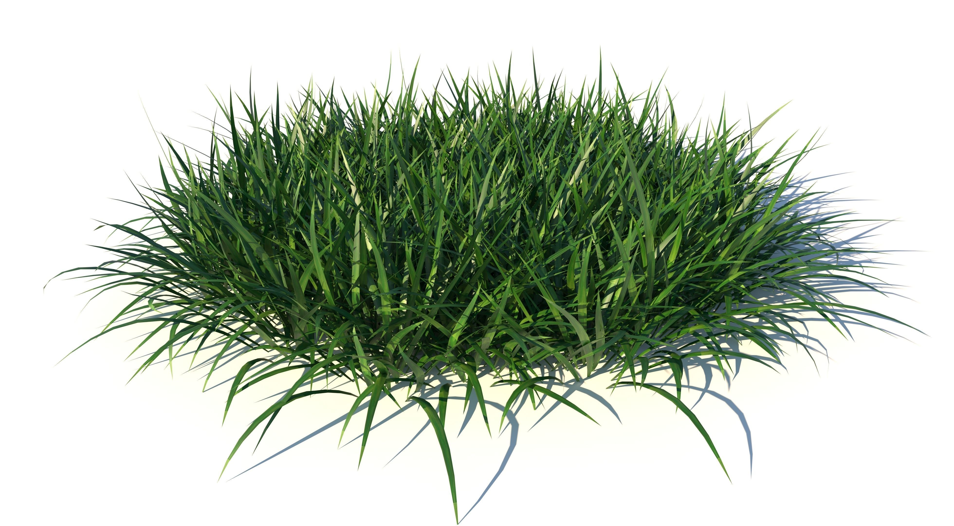 Bundle Grass Low-poly 3D model_1