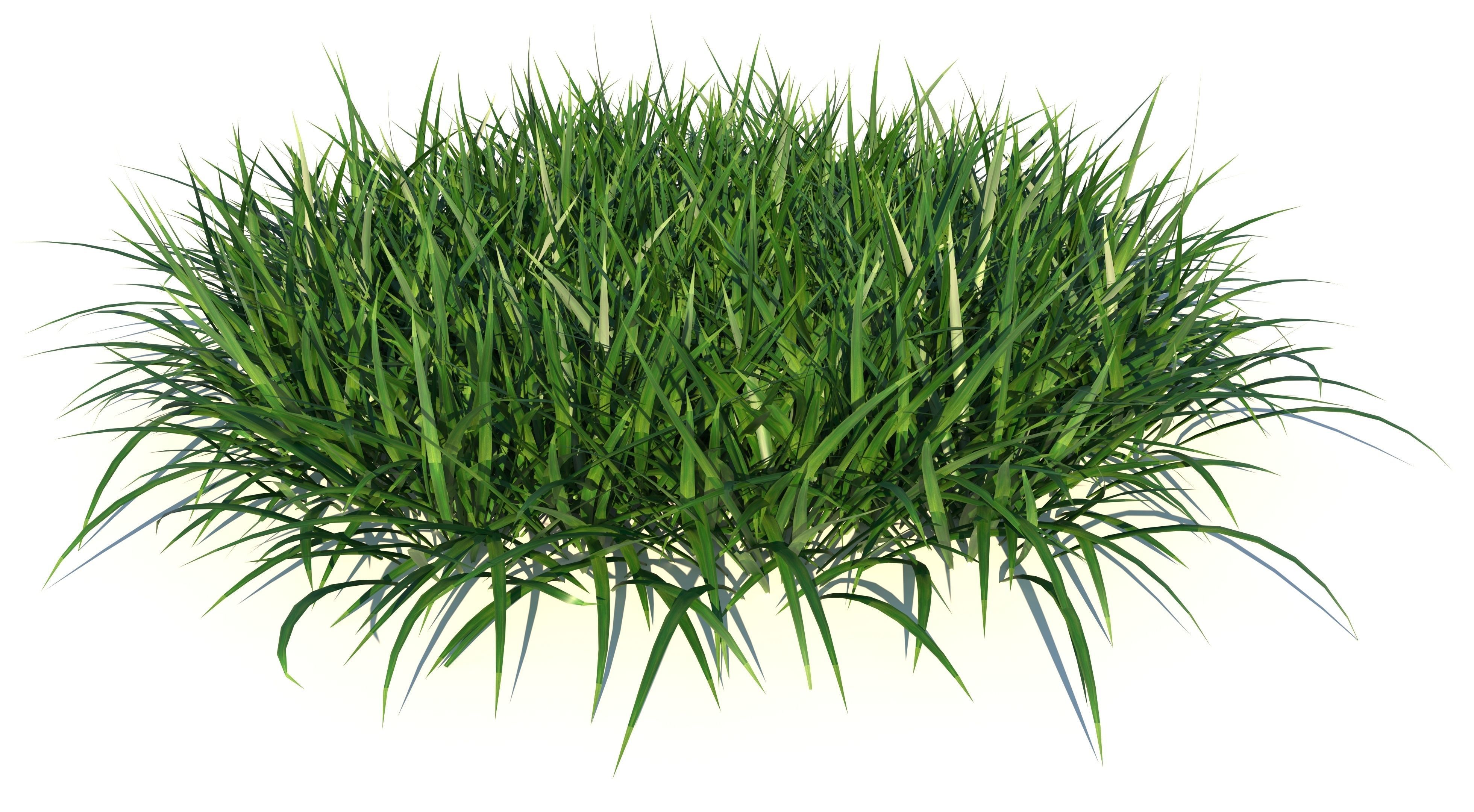 Bundle Grass Low-poly 3D model_2