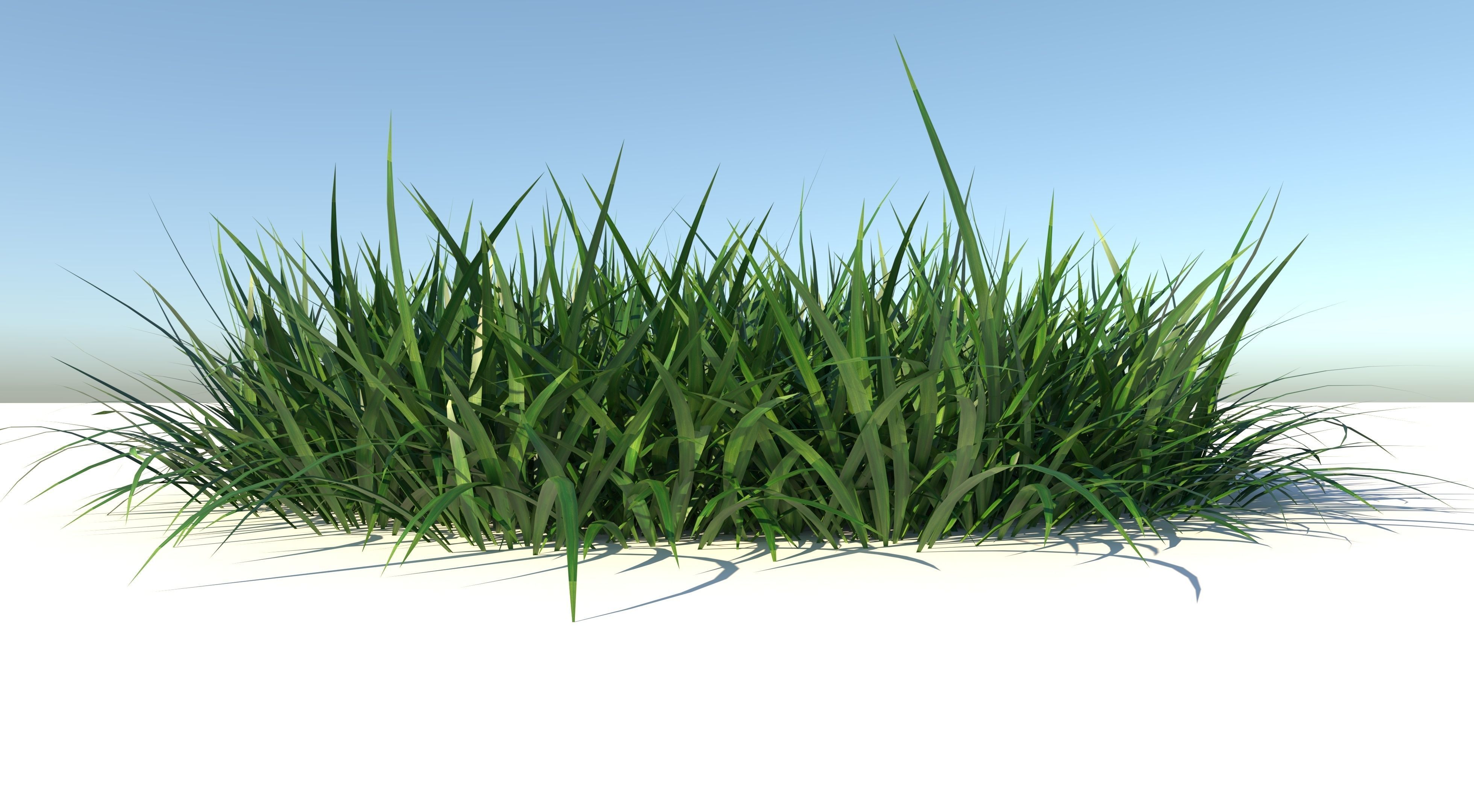 Bundle Grass Low-poly 3D model_4