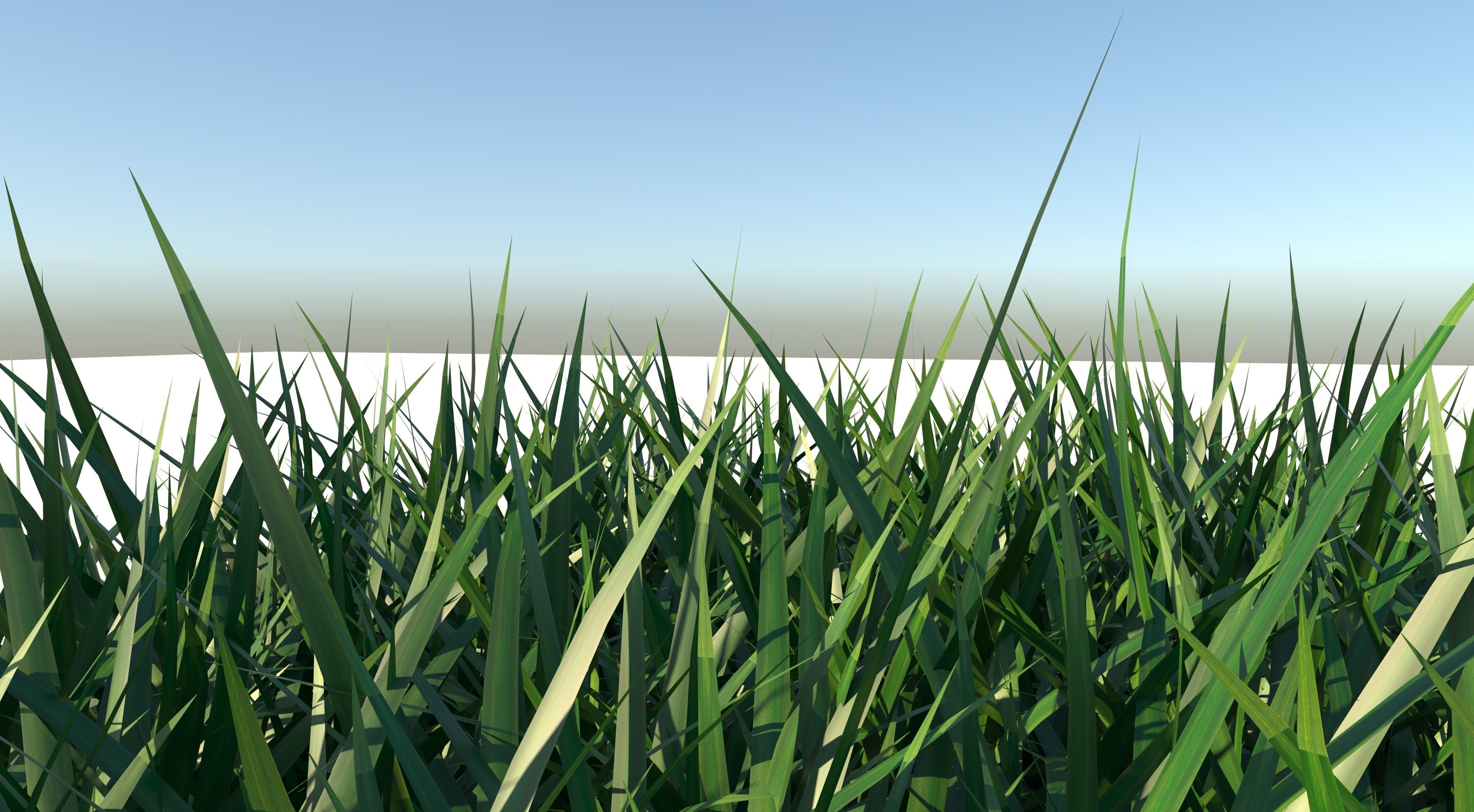 Bundle Grass Low-poly 3D model_6