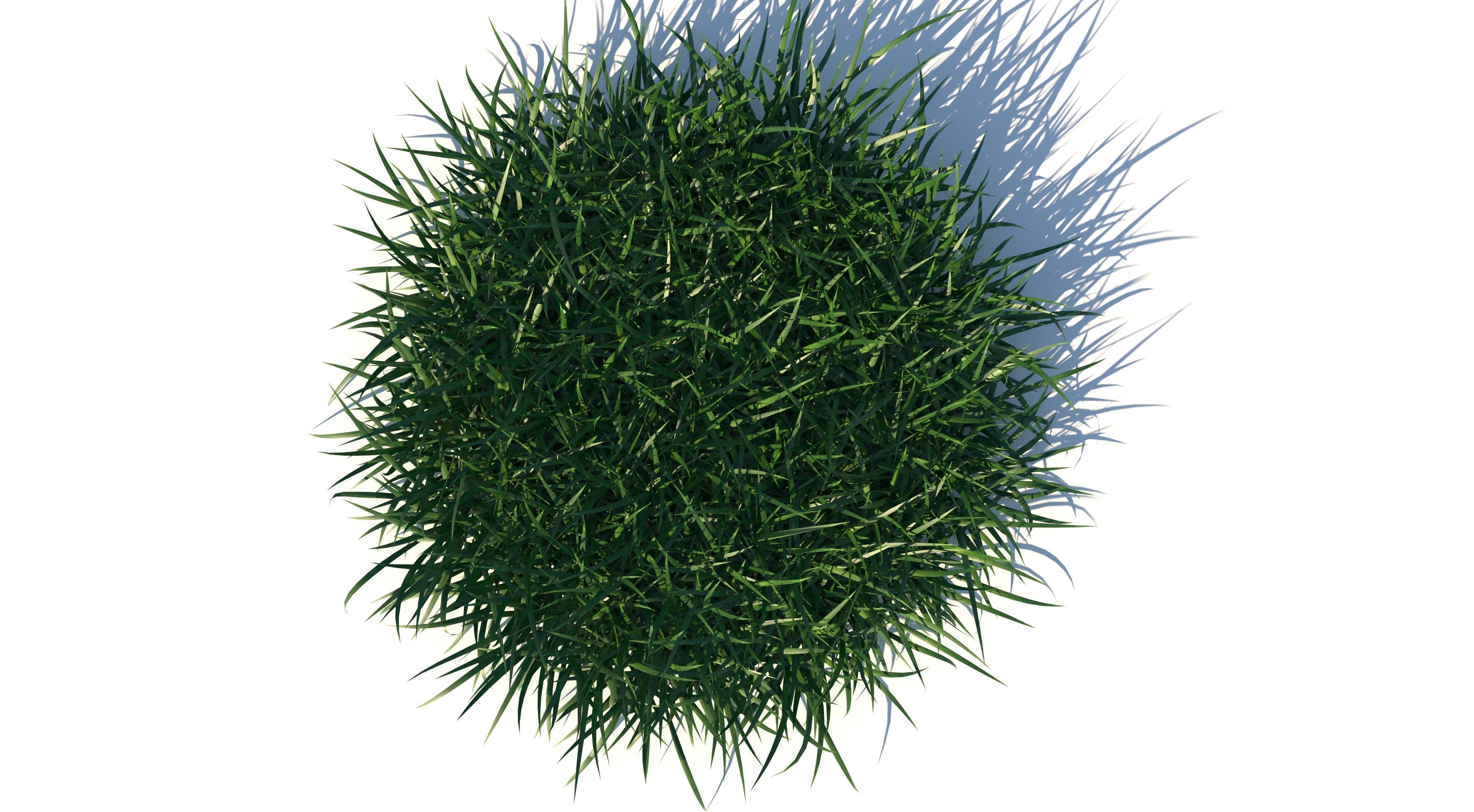 Bundle Grass Low-poly 3D model_3