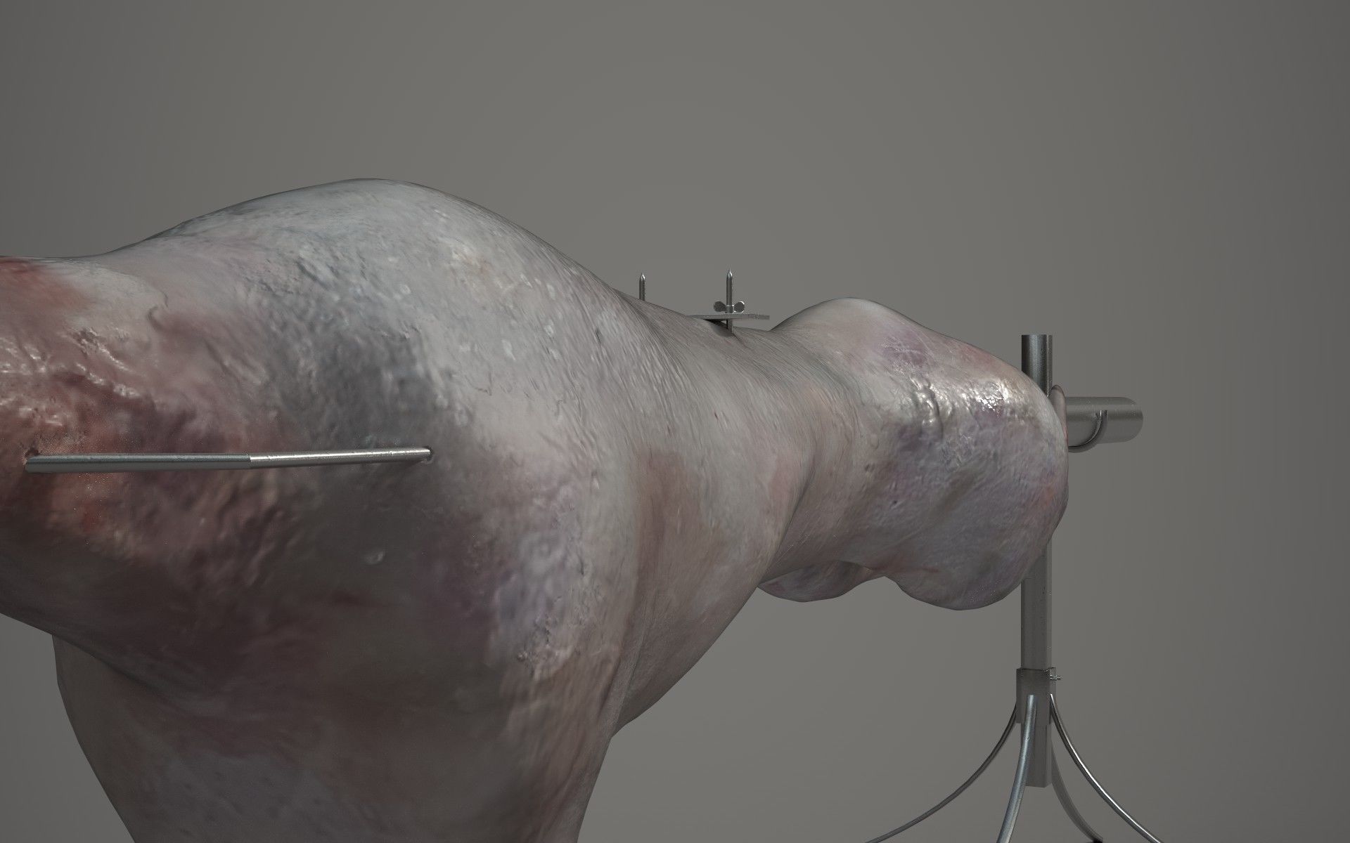 Lamb on a Spit Low-poly 3D model_5