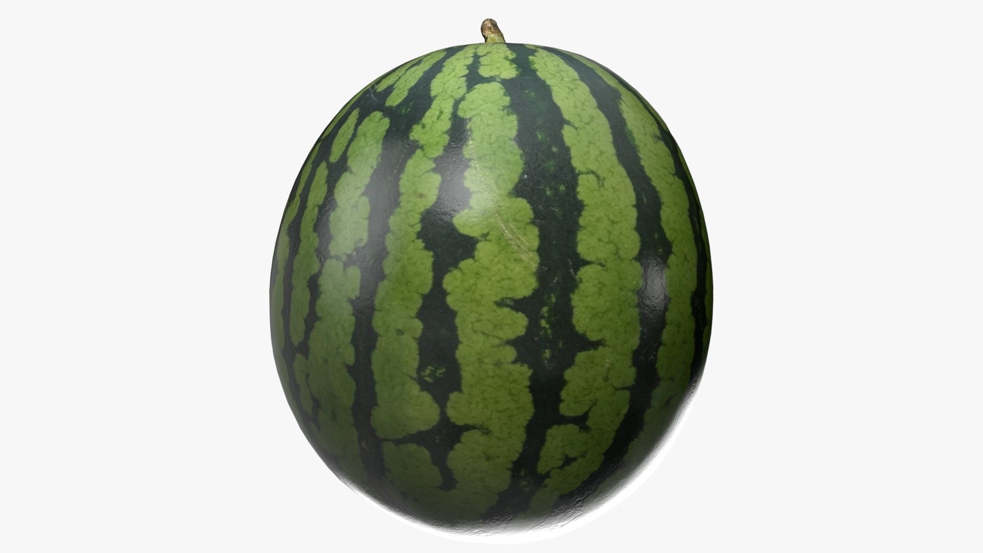 Watermelon 3D model_7