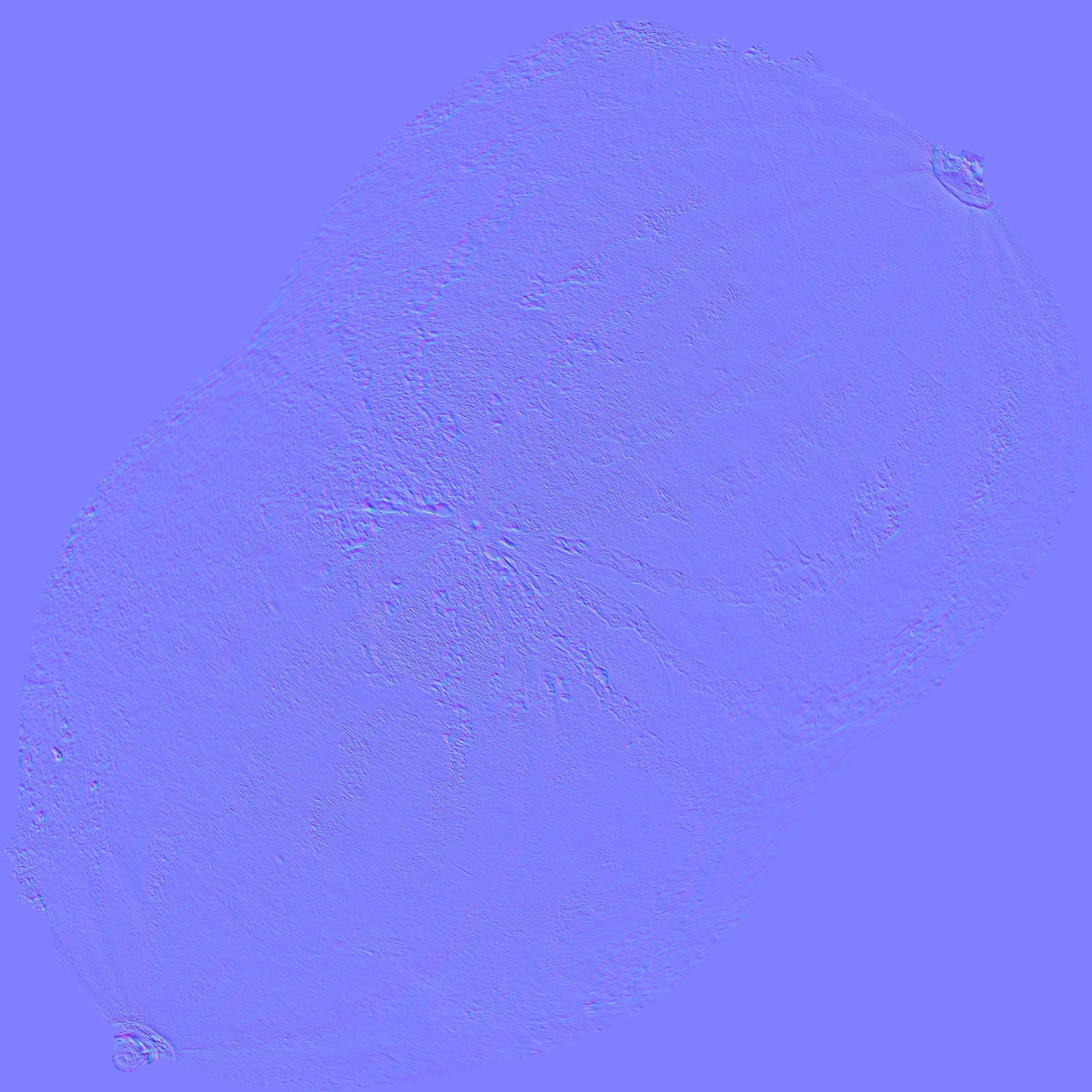 Watermelon 3D model_9