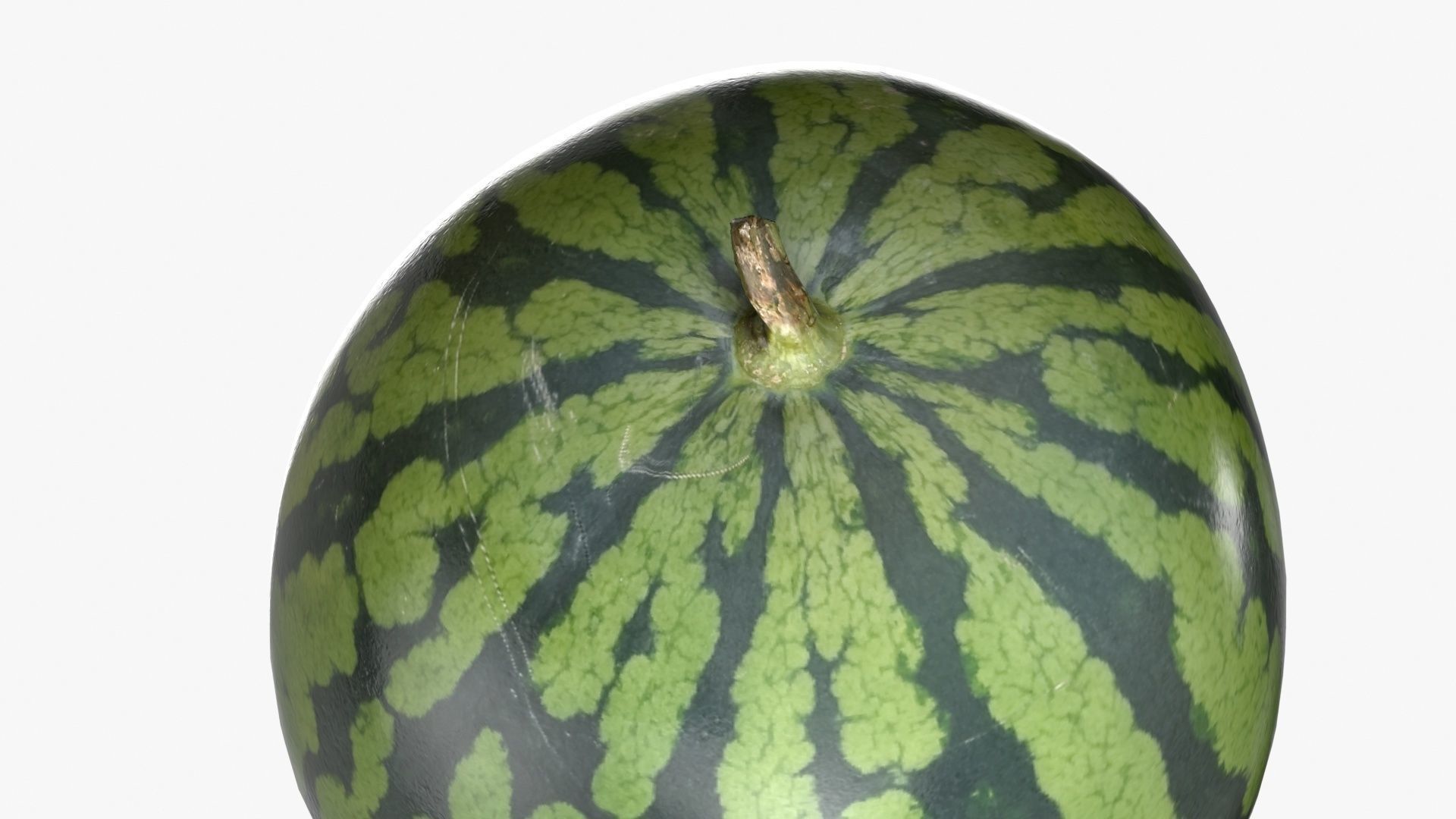 Watermelon 3D model_6