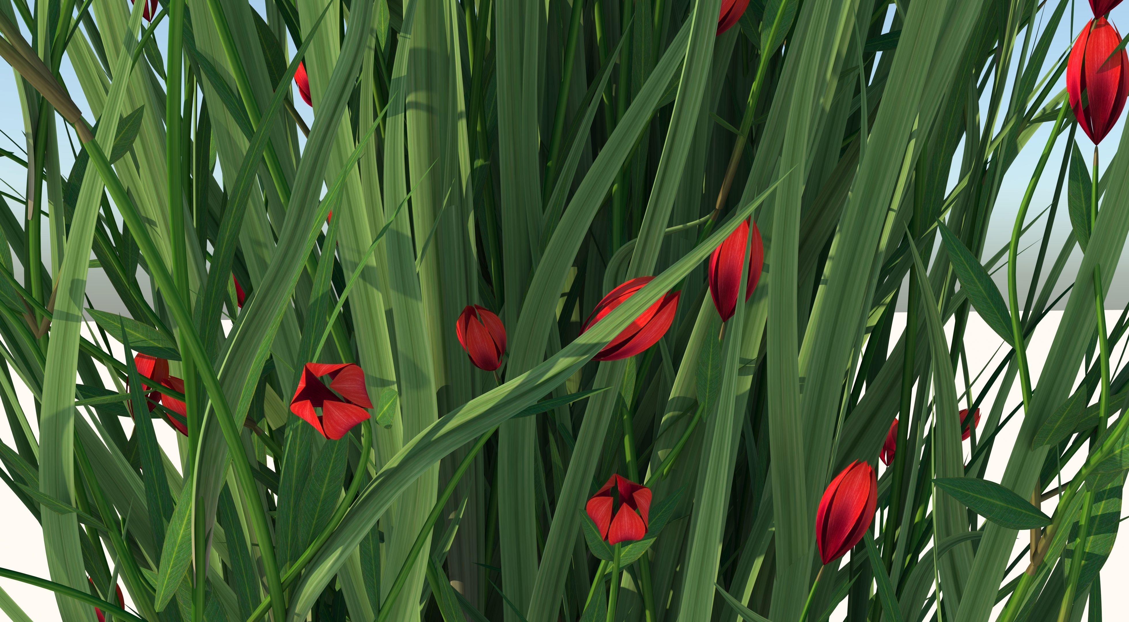 Flower plant in pot 3D model_6