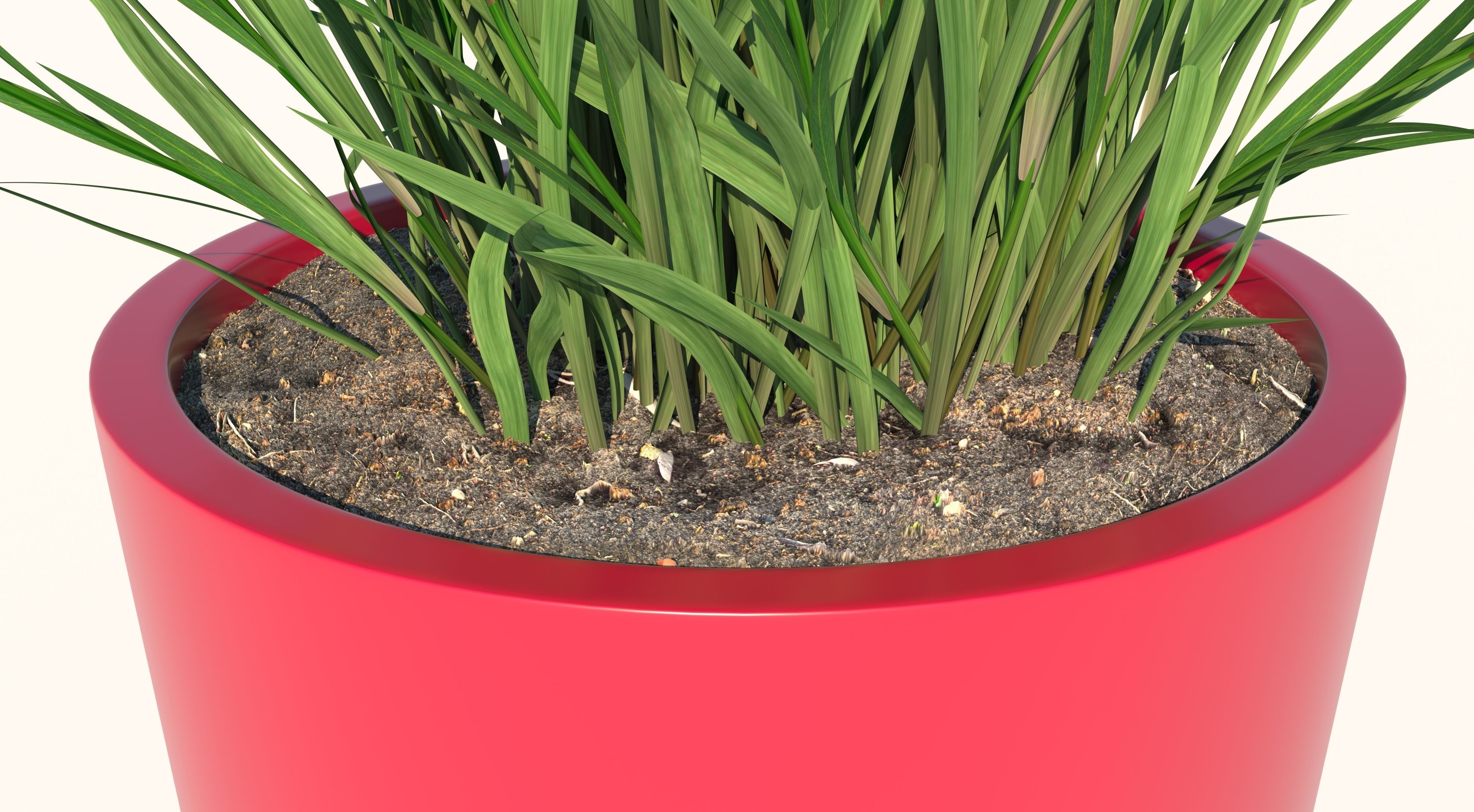 Flower plant in pot 3D model_3