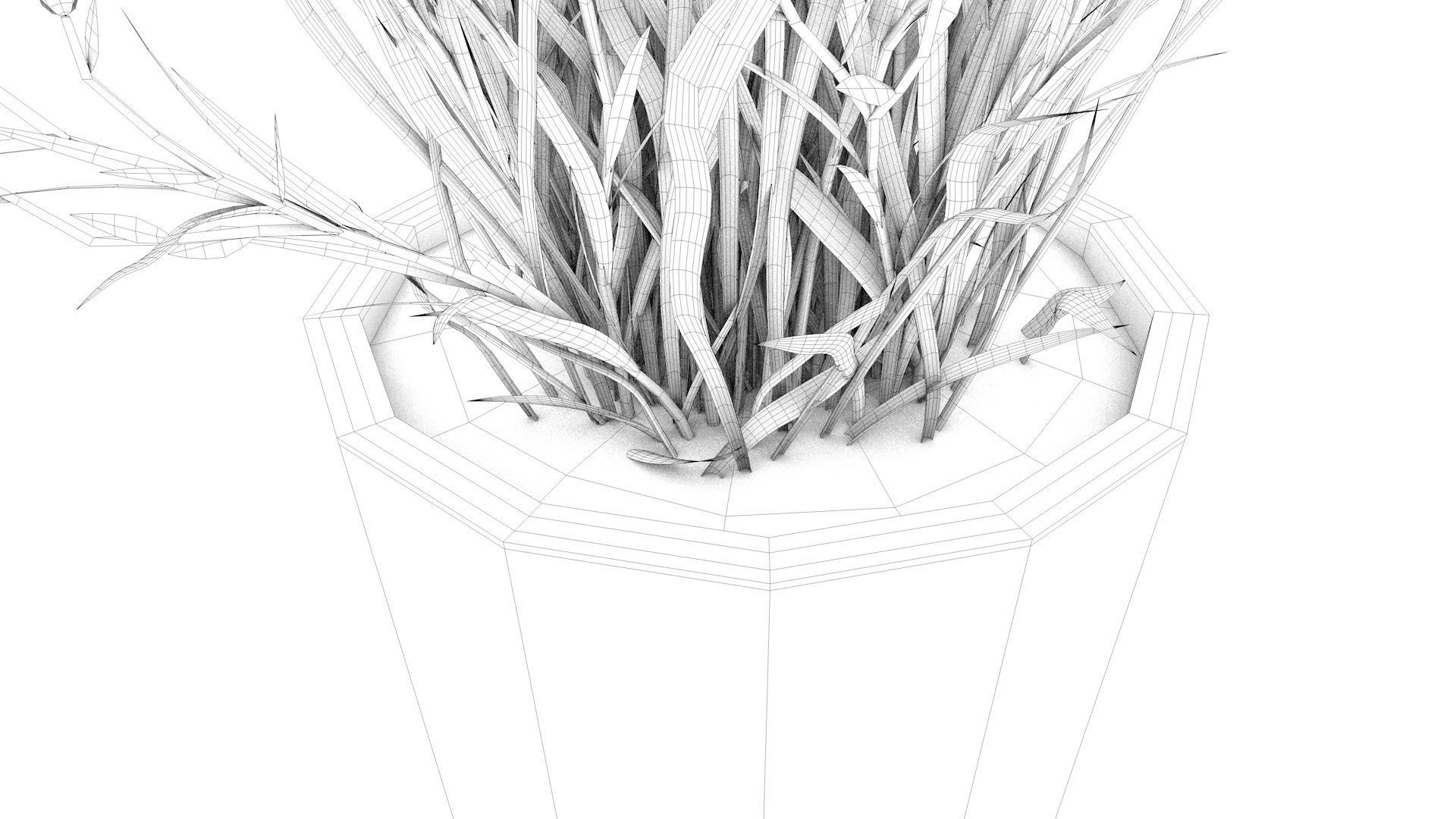 Flower plant in pot 3D model_13