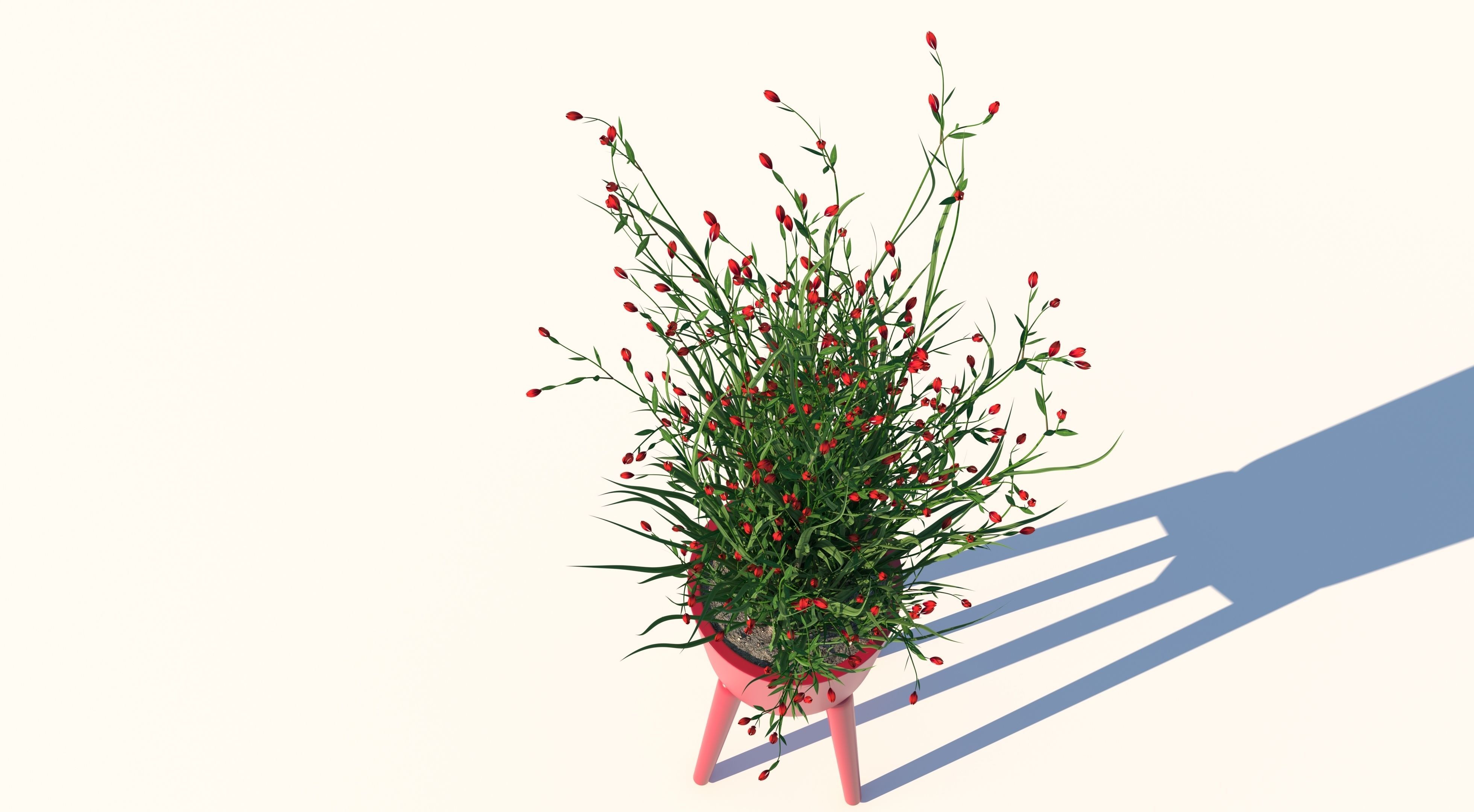 Flower plant in pot 3D model_2