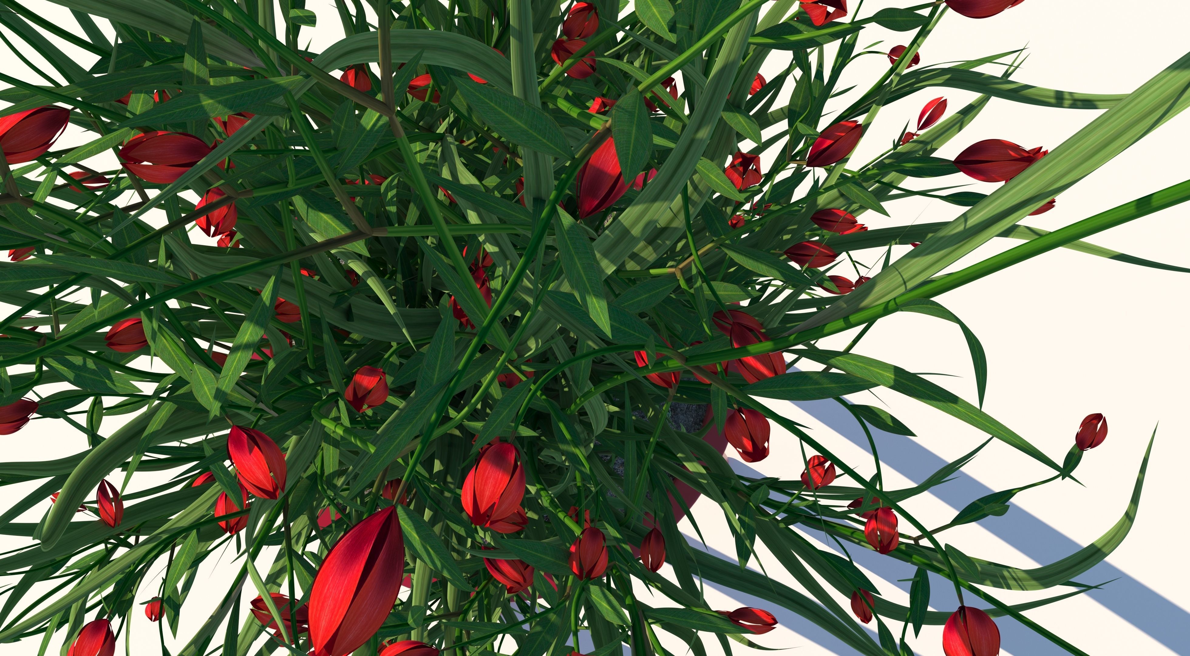 Flower plant in pot 3D model_7