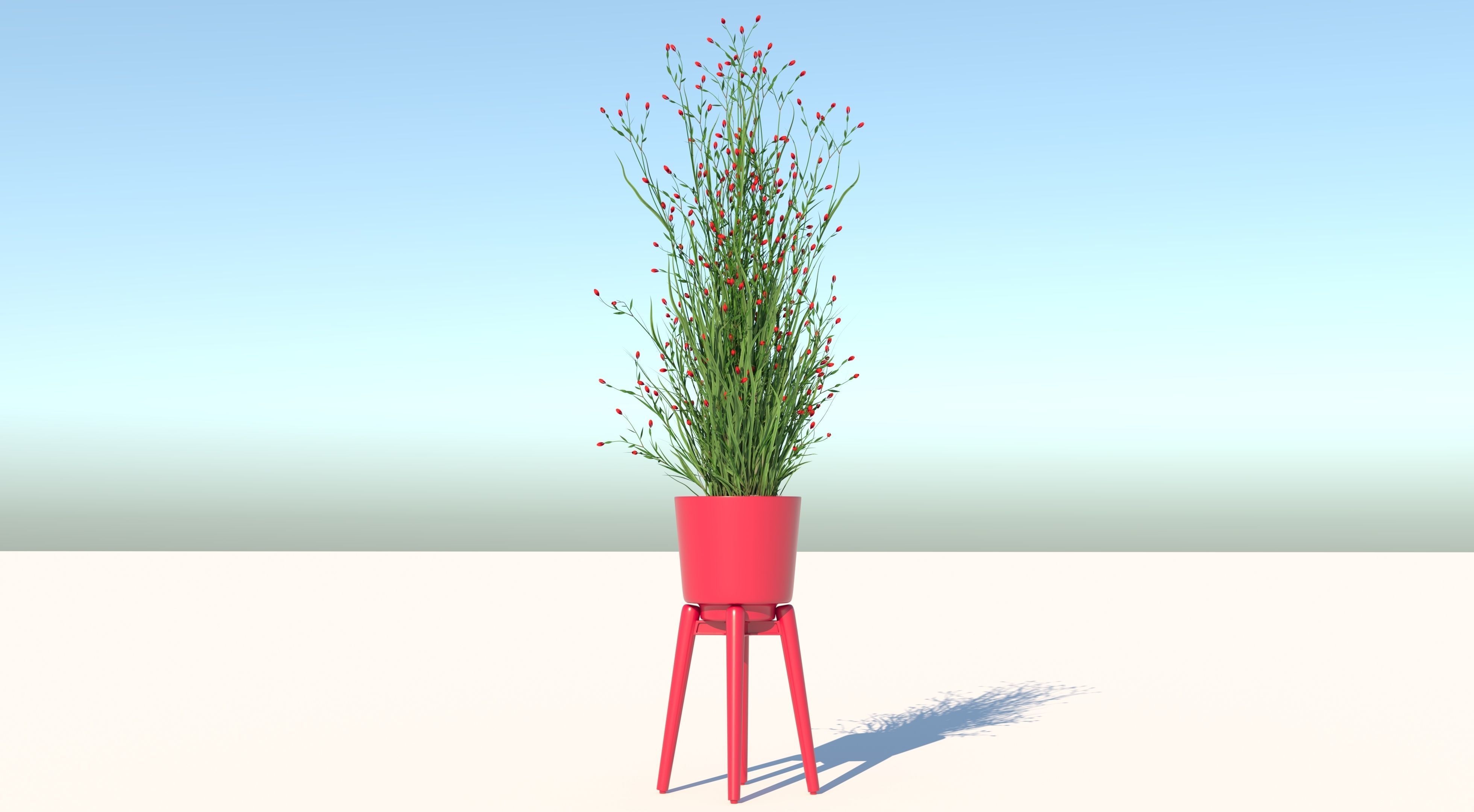 Flower plant in pot 3D model_1