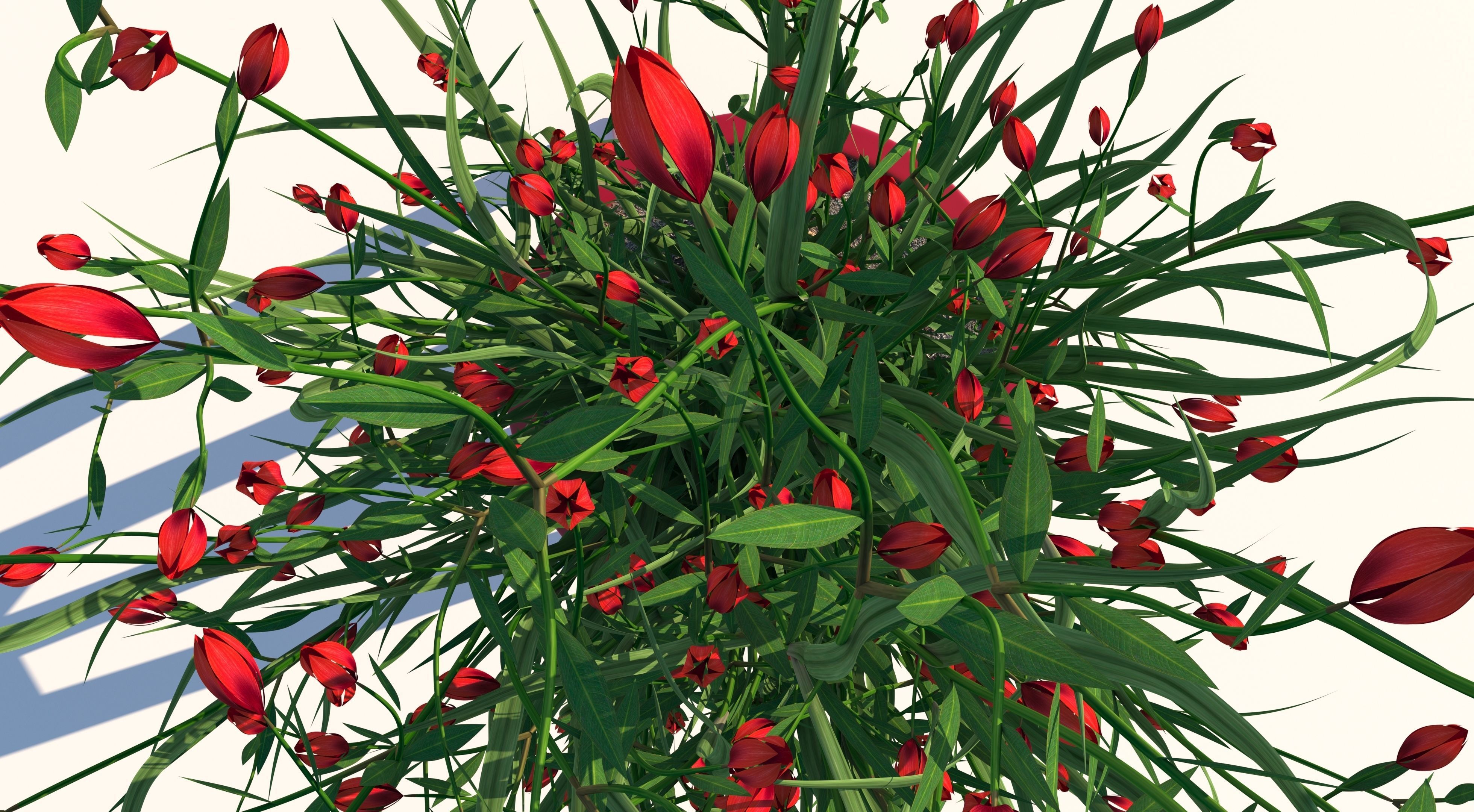 Flower plant in pot 3D model_5