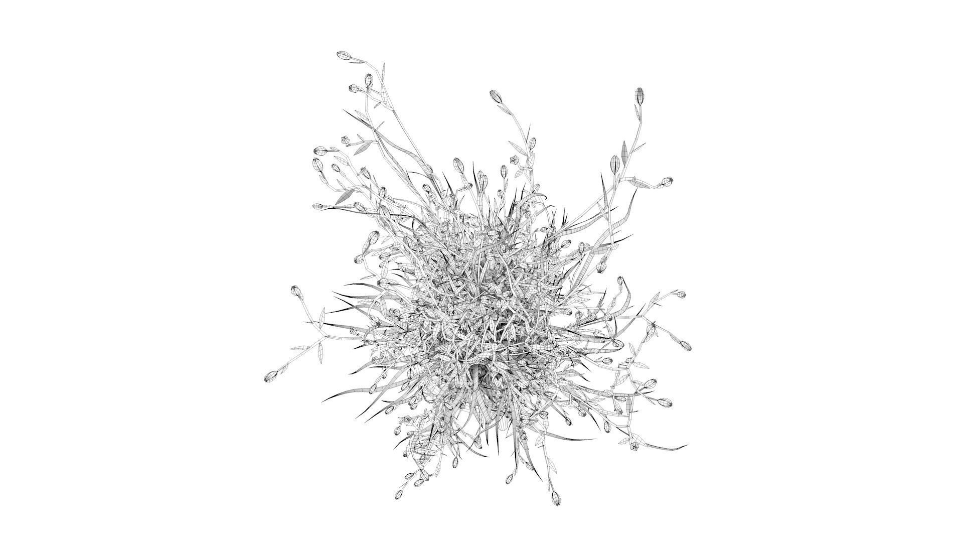 Flower plant in pot 3D model_12